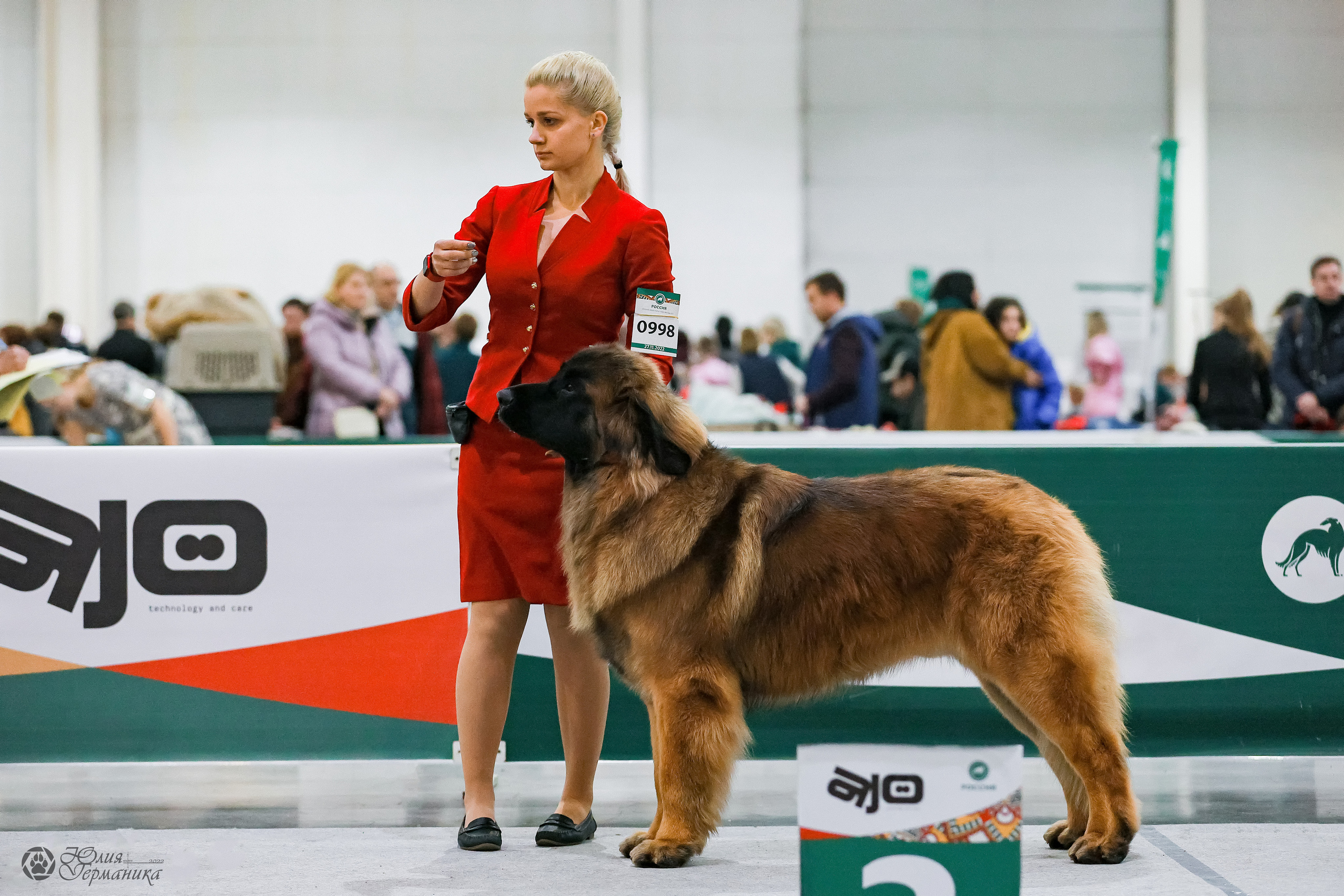 Россия 2020-2022 26-27.11.2022. Фотограф-анималист Юлия Германика