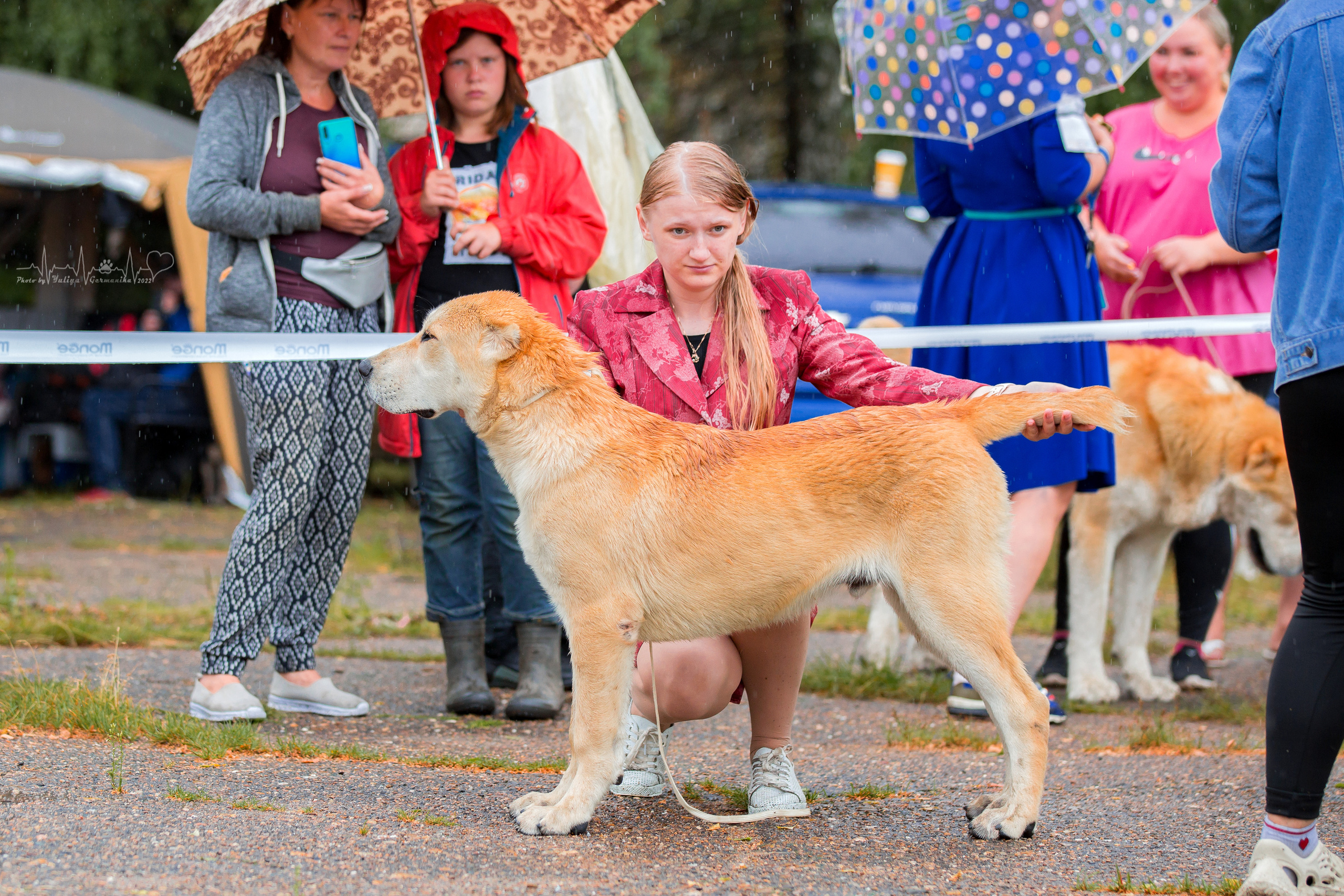 Ховрино 31.07,Чайна-Таун 6.08,Тверь 7.08. Фотограф-анималист Юлия Германика