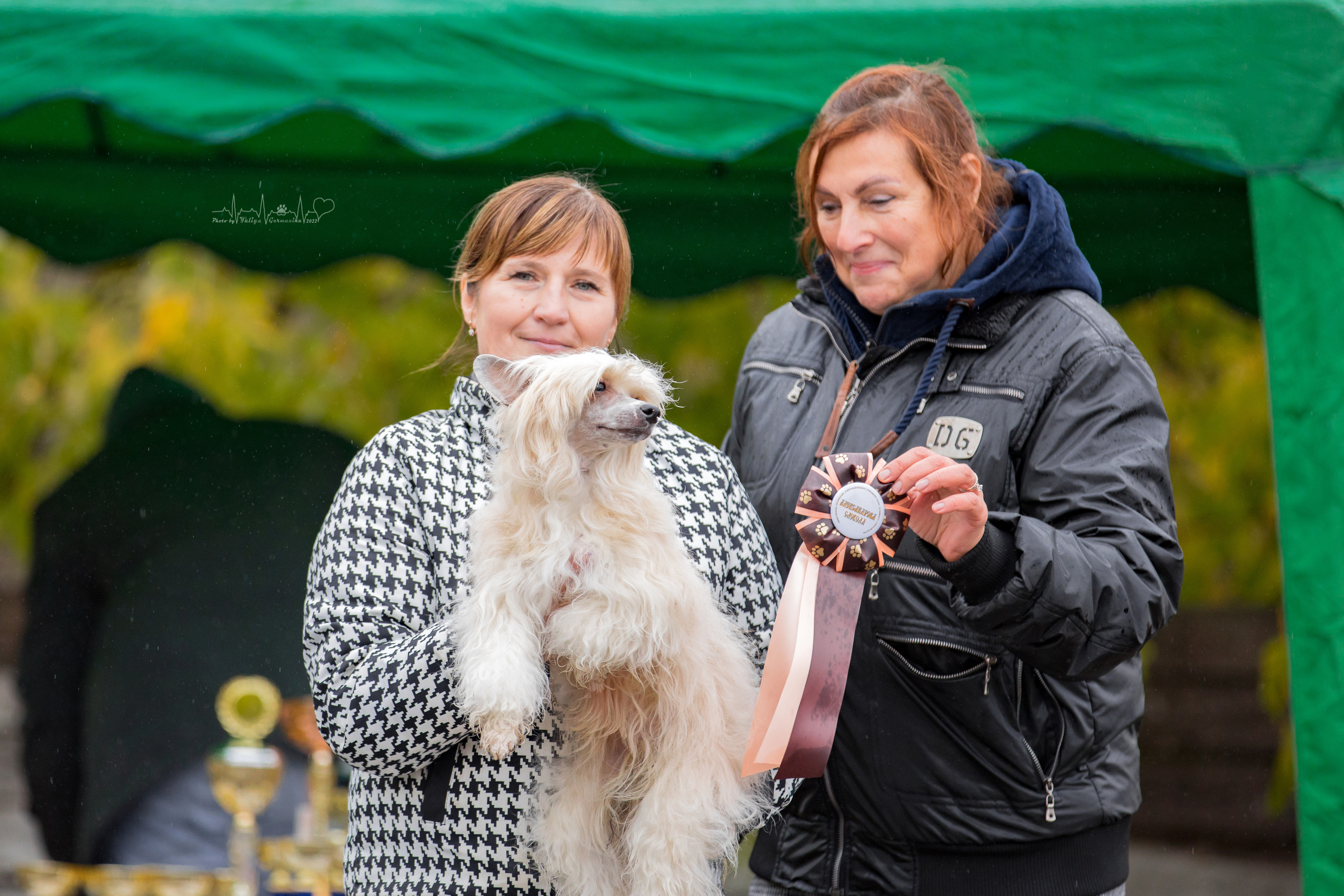 Александров 24.09.2022. Фотограф-анималист Юлия Германика