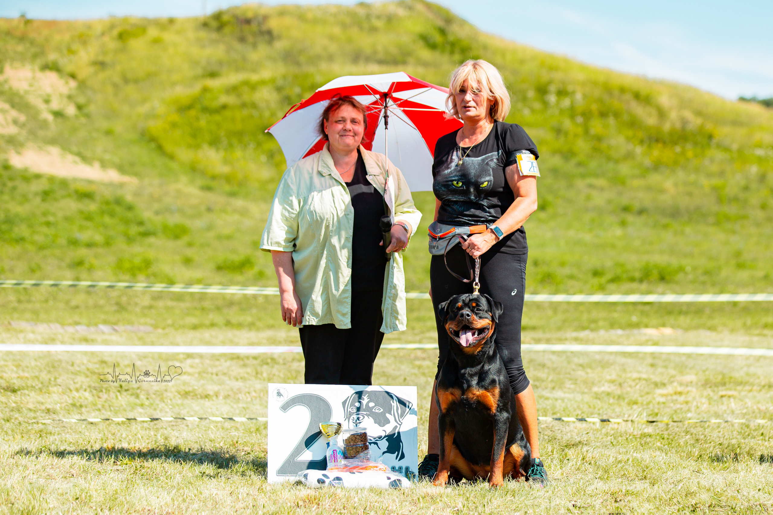 Рязань моно ротвейлеров 13.08.2022. Фотограф-анималист Юлия Германика