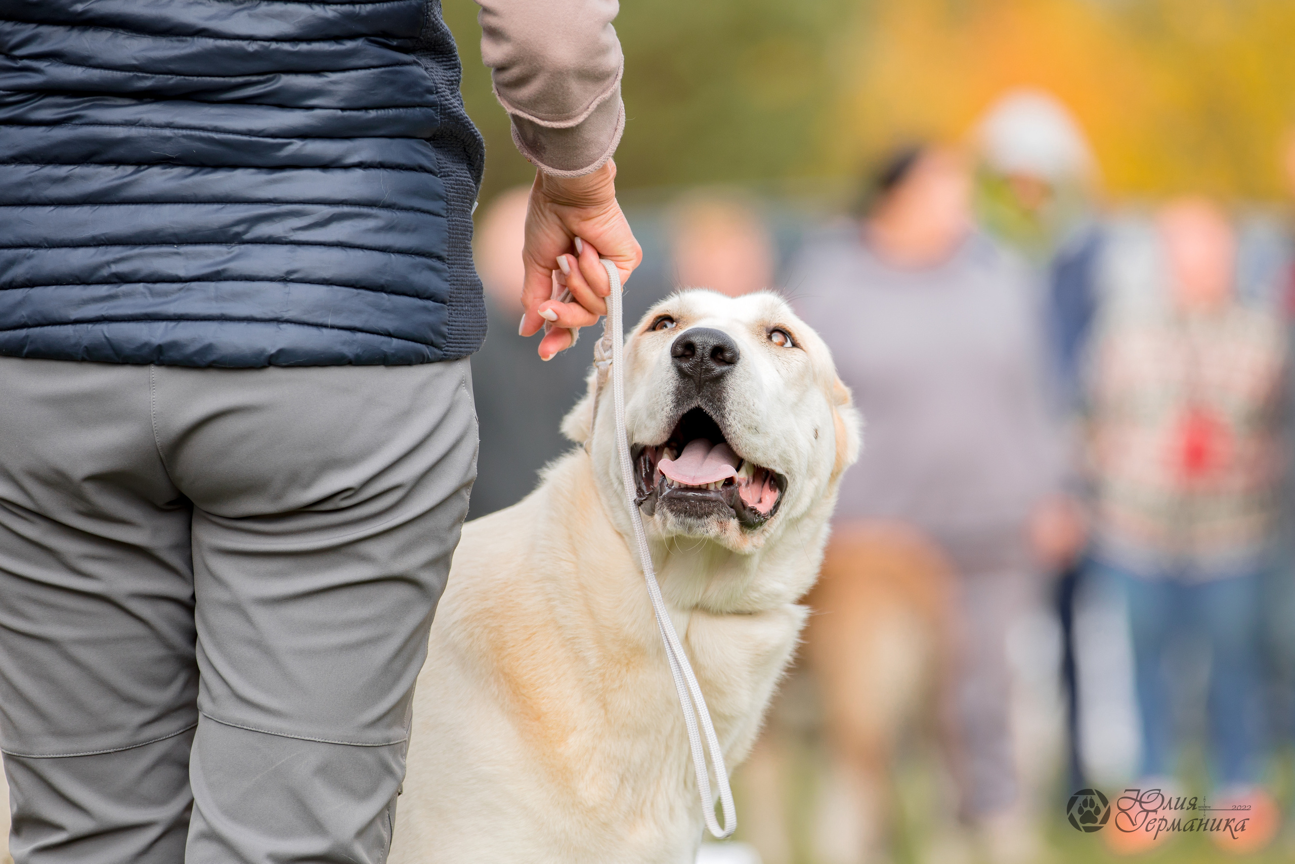Александрова Слобода моно сао 2.10.2022. Фотограф-анималист Юлия Германика