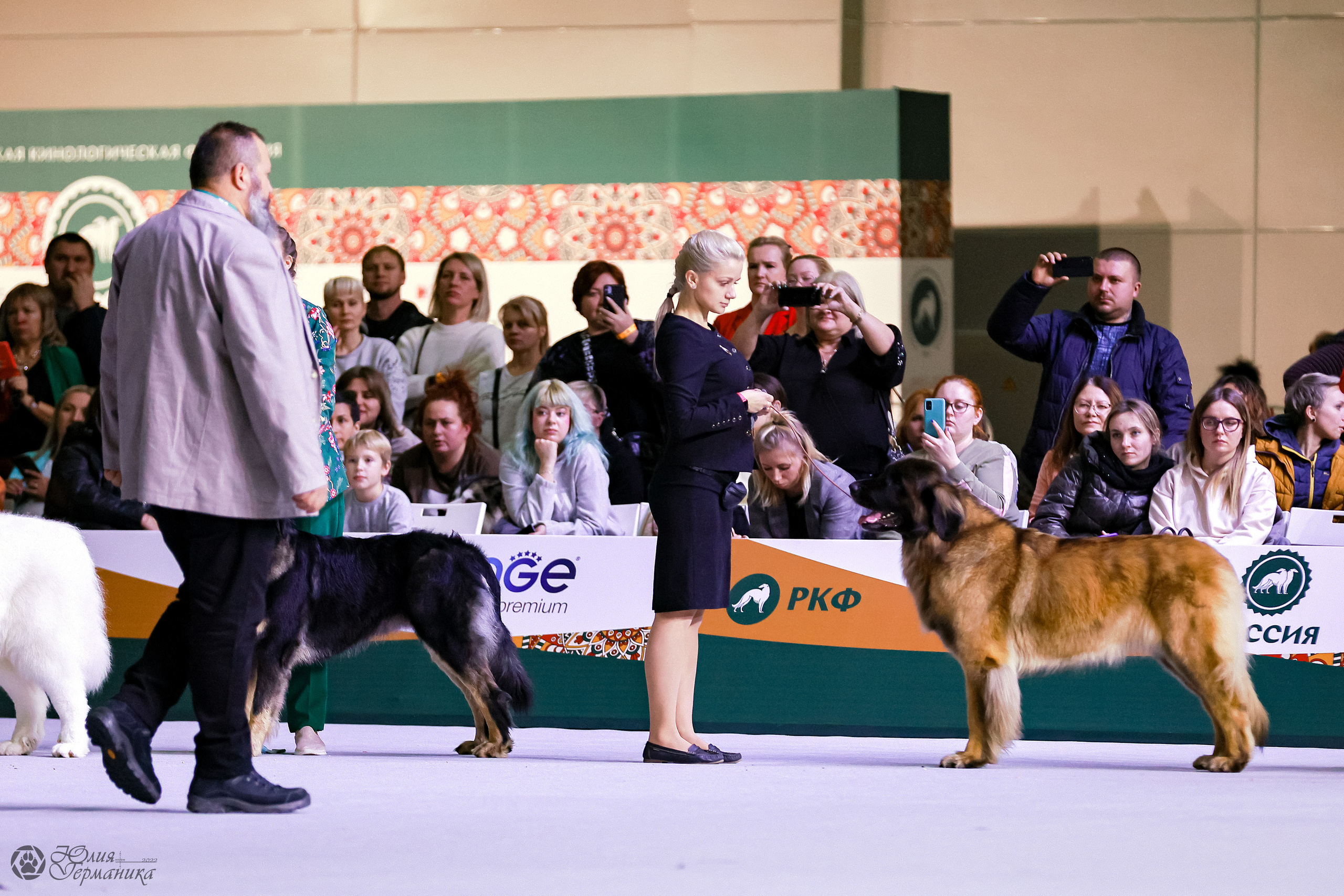 Россия 2020-2022 26-27.11.2022. Фотограф-анималист Юлия Германика