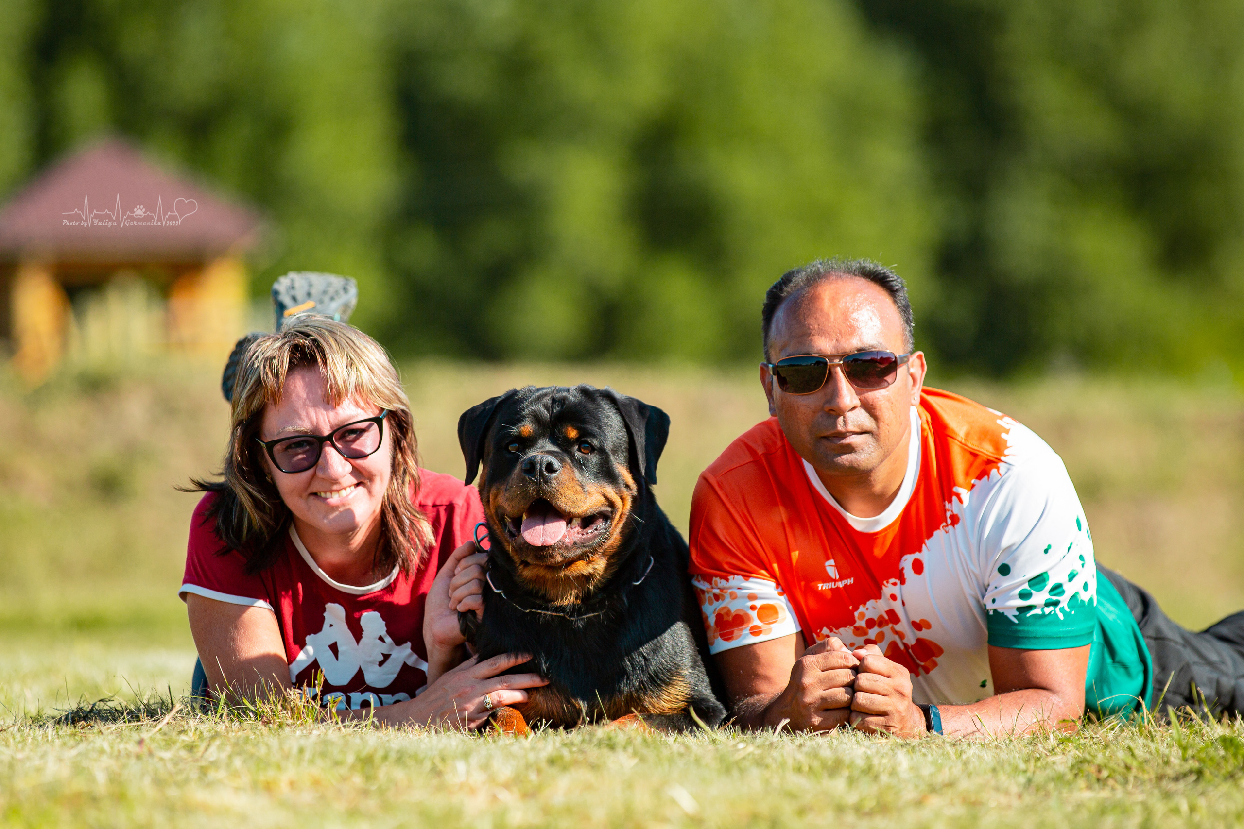 Рязань моно ротвейлеров 13.08.2022. Фотограф-анималист Юлия Германика