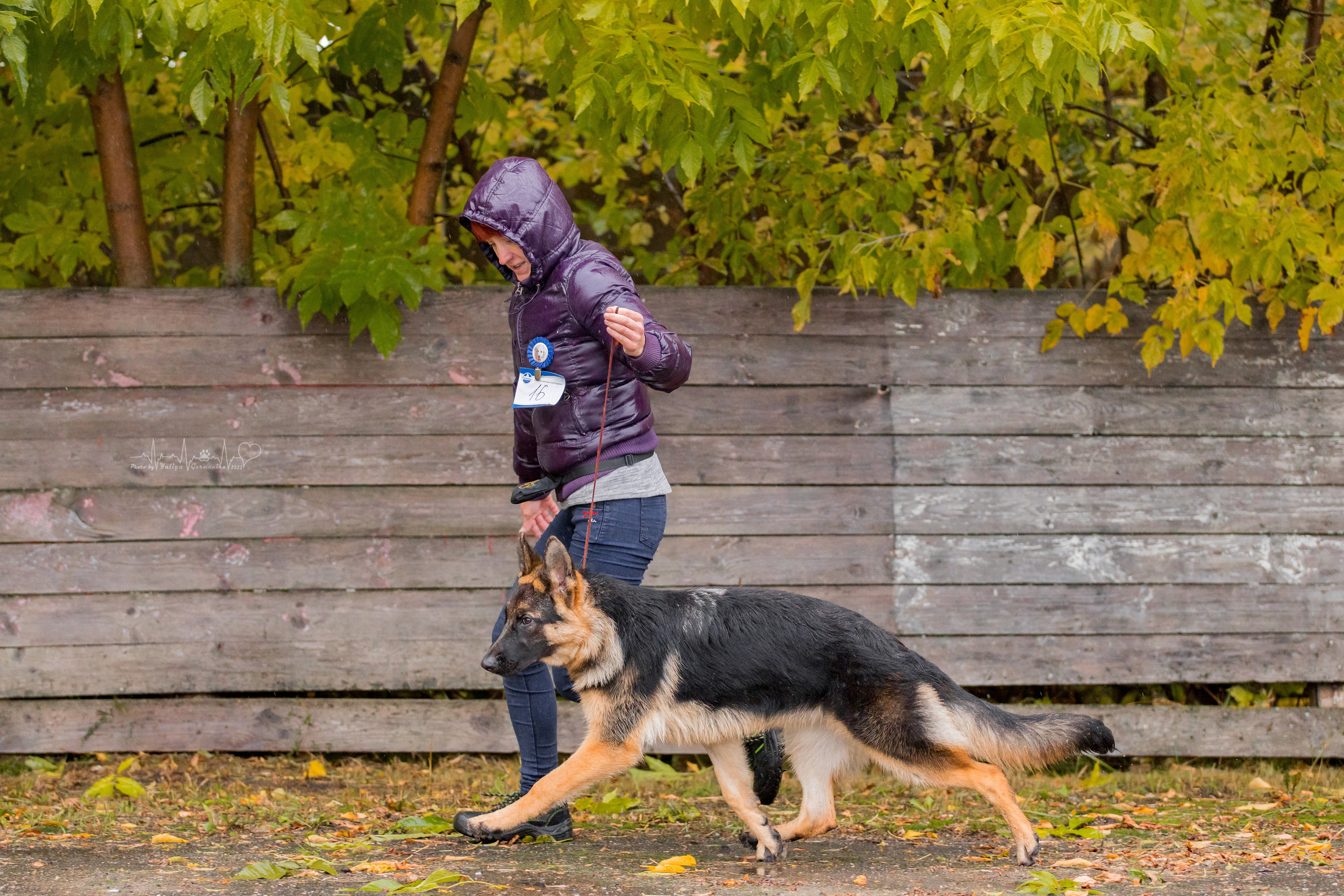 Александров 24.09.2022. Фотограф-анималист Юлия Германика