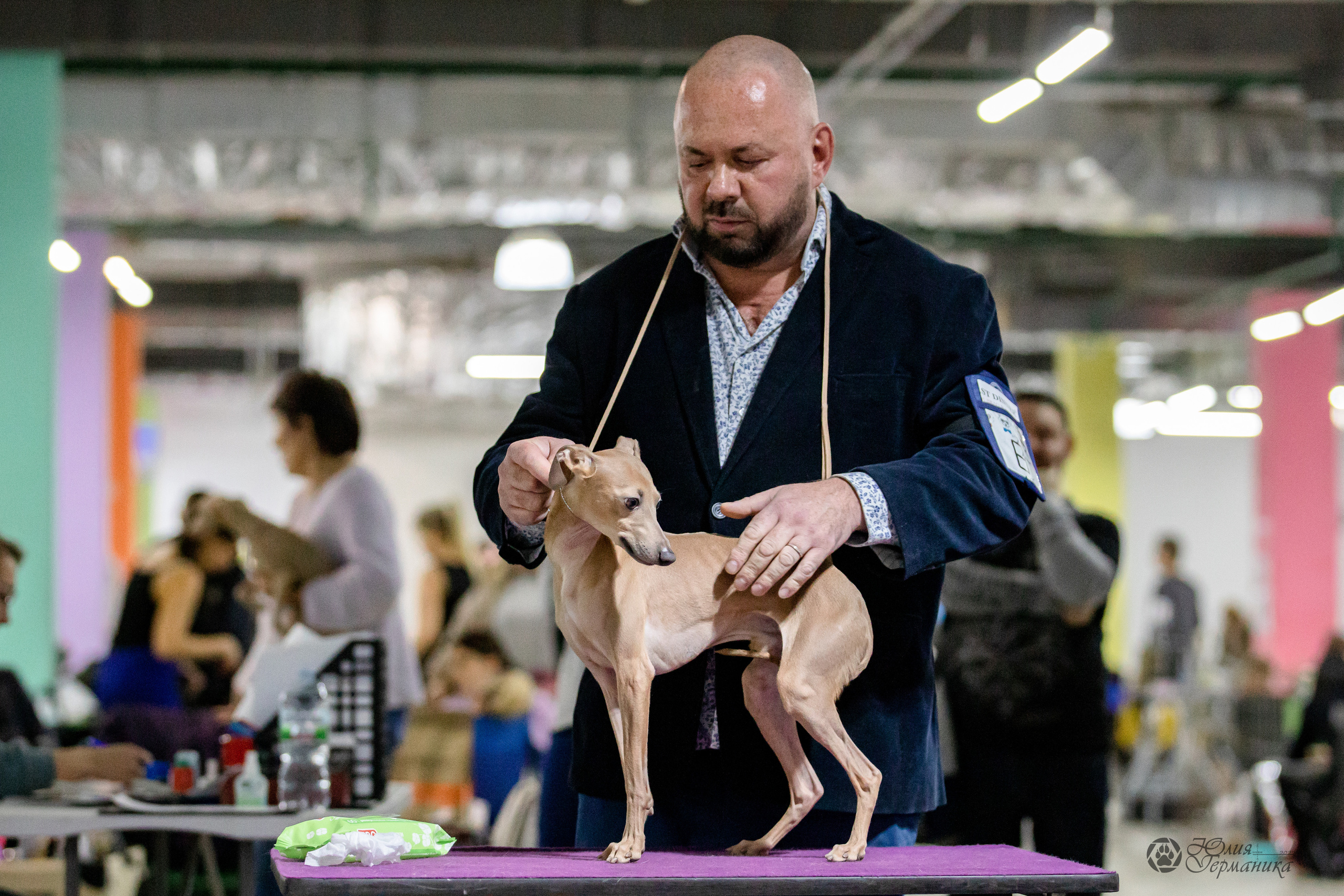 Чайна-Таун 29-30.10.2022. Фотограф-анималист Юлия Германика