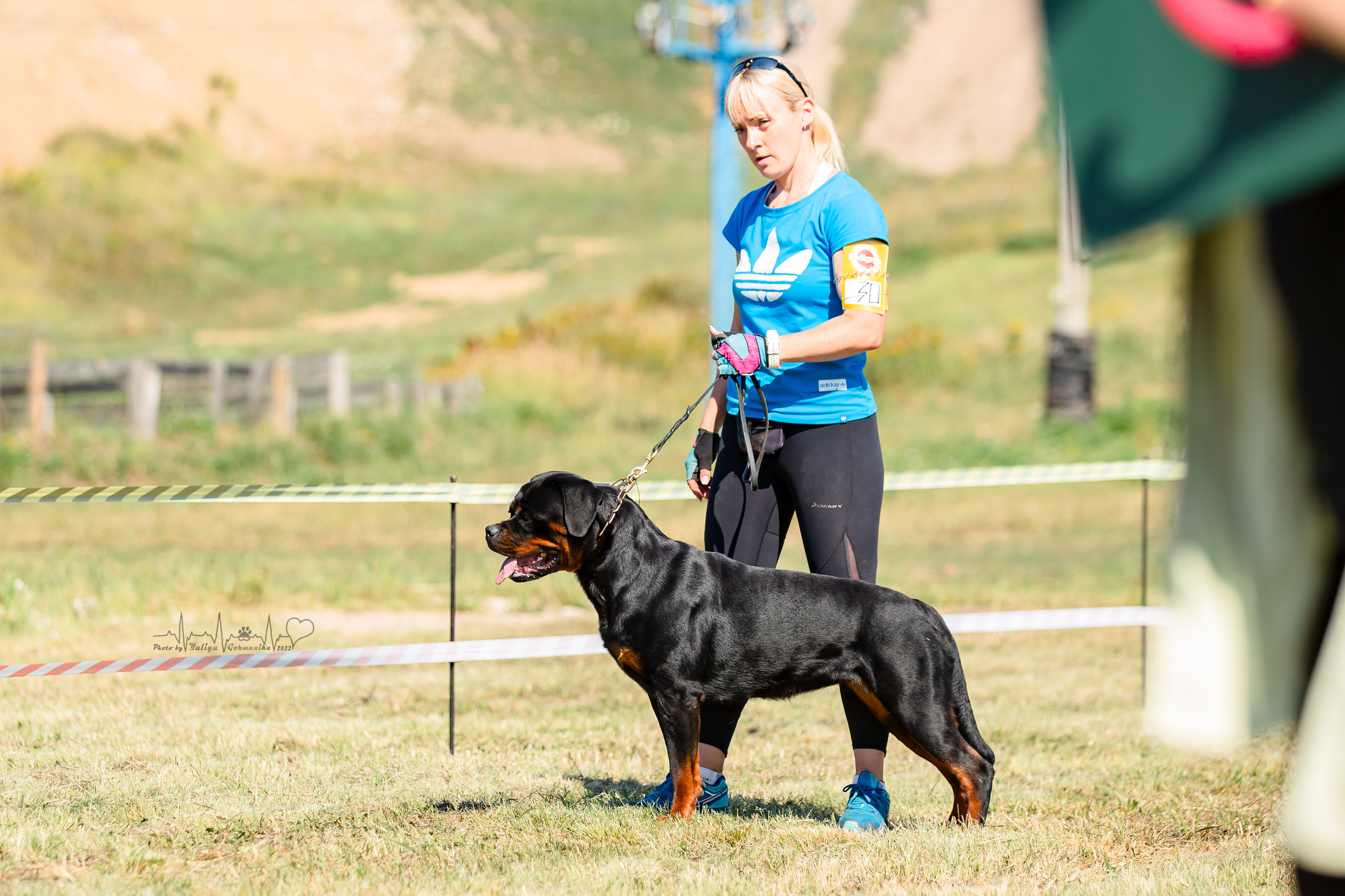 Рязань моно ротвейлеров 13.08.2022. Фотограф-анималист Юлия Германика