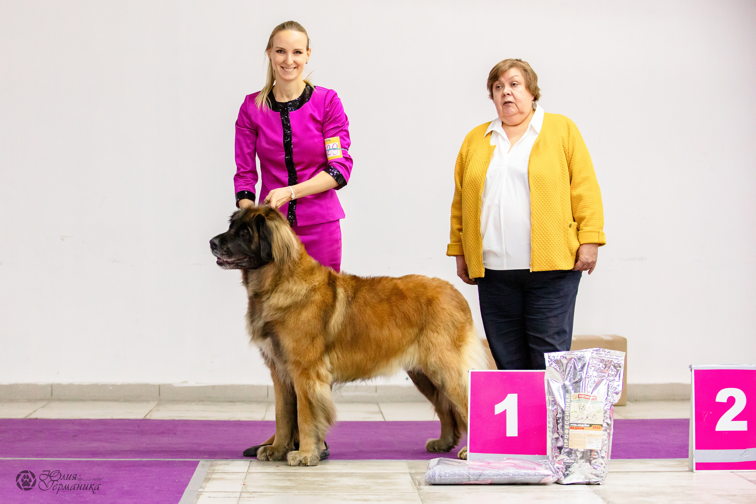 Чайна-Таун 29-30.10.2022. Фотограф-анималист Юлия Германика