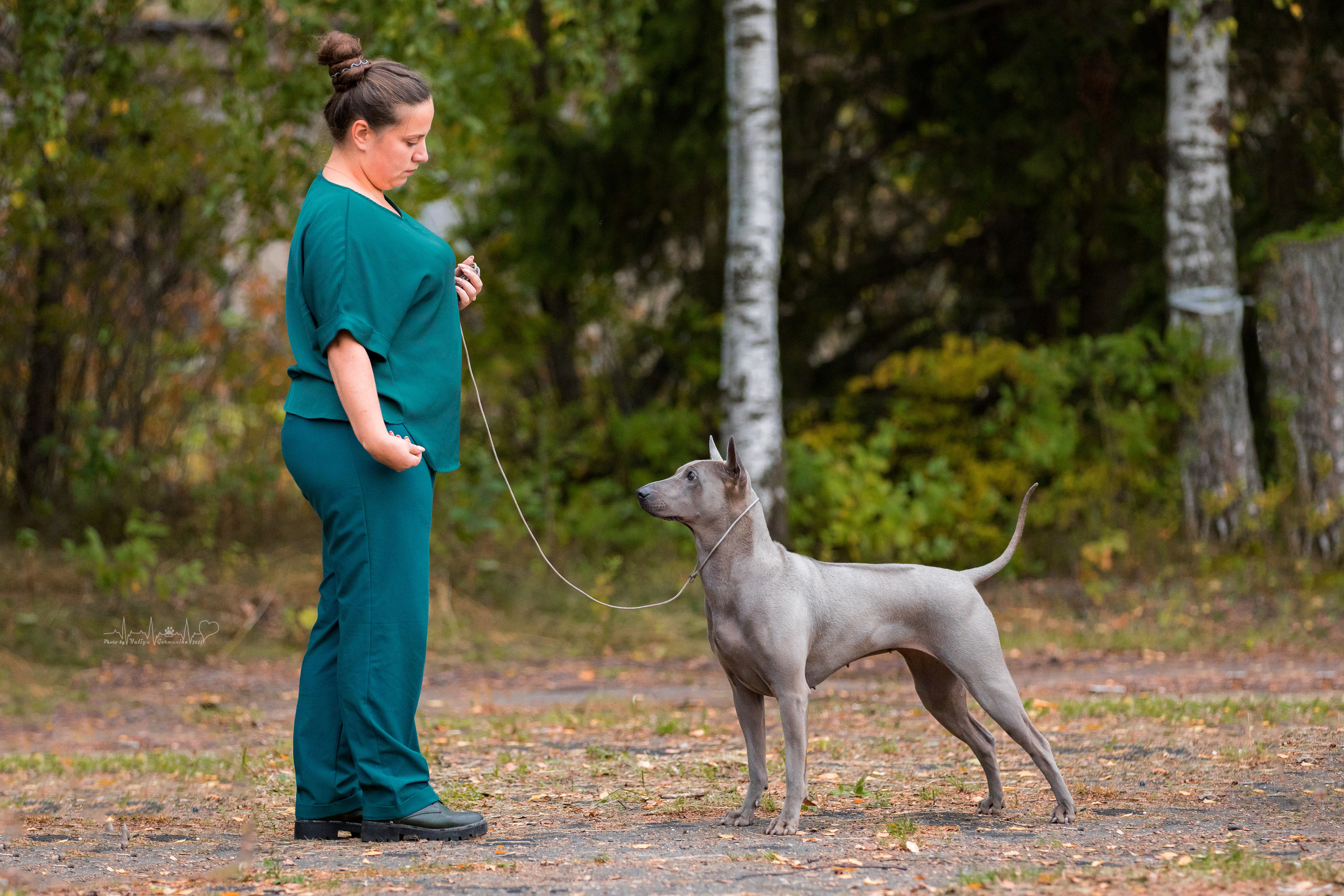 Тверь ЧРКФ 18.09.2022. Фотограф-анималист Юлия Германика