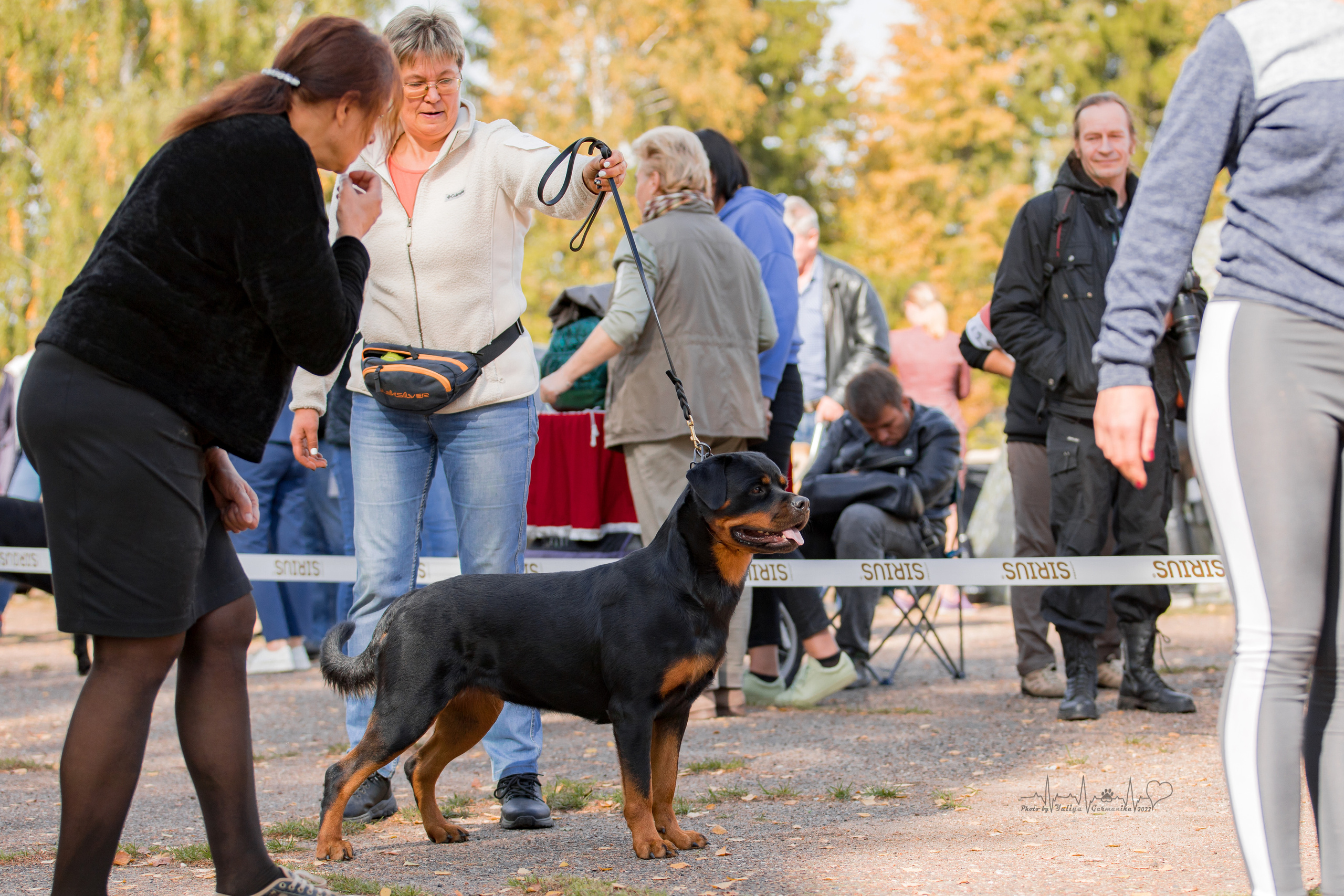 Тверь ЧРКФ 18.09.2022. Фотограф-анималист Юлия Германика