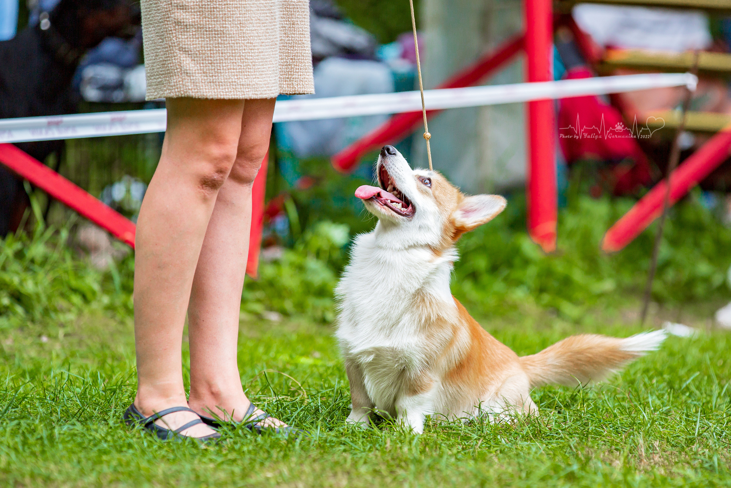 Сокольники 21.08,Сергиев Посад 27-28.08 2022. Фотограф-анималист Юлия Германика