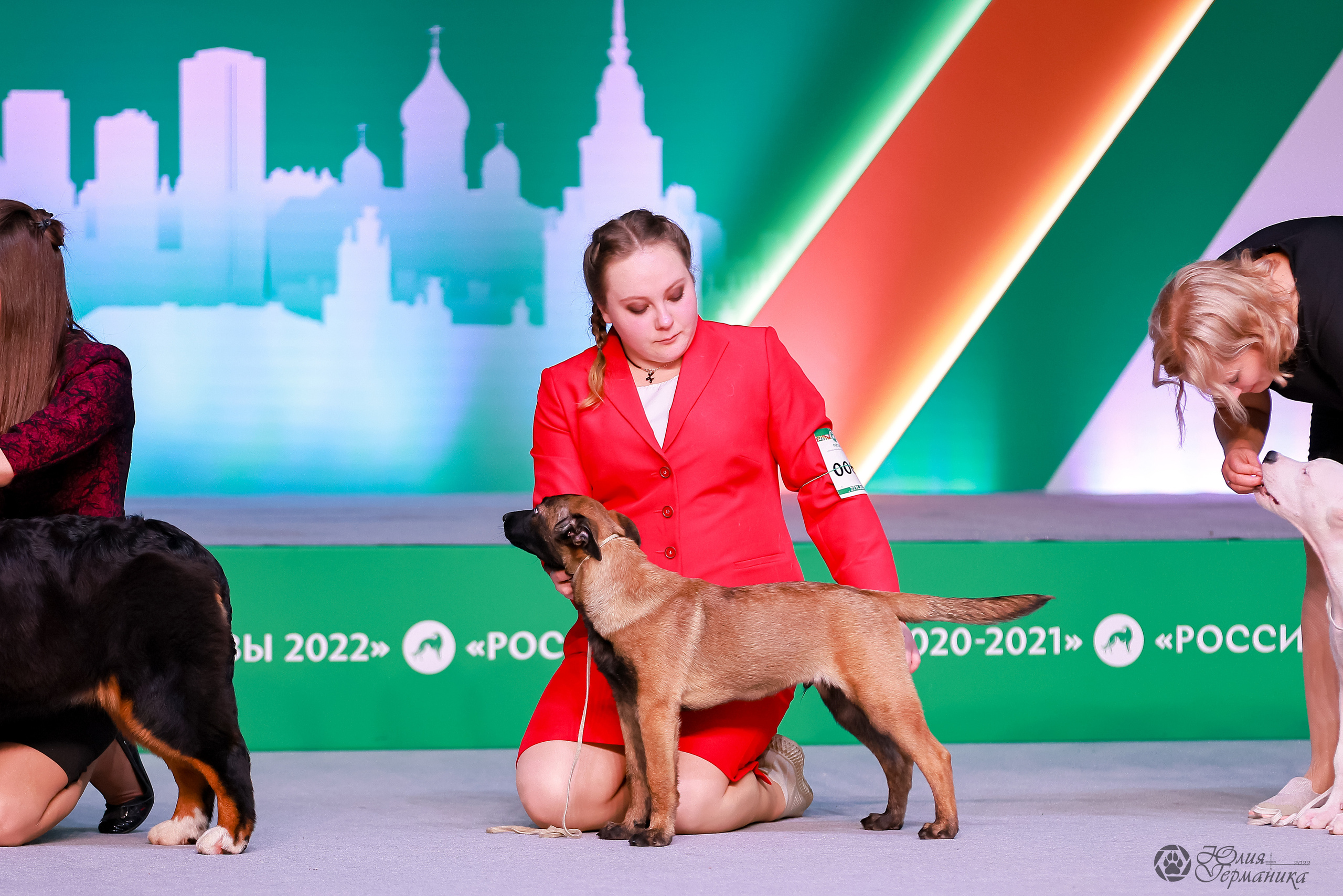 Россия 2020-2022 26-27.11.2022. Фотограф-анималист Юлия Германика