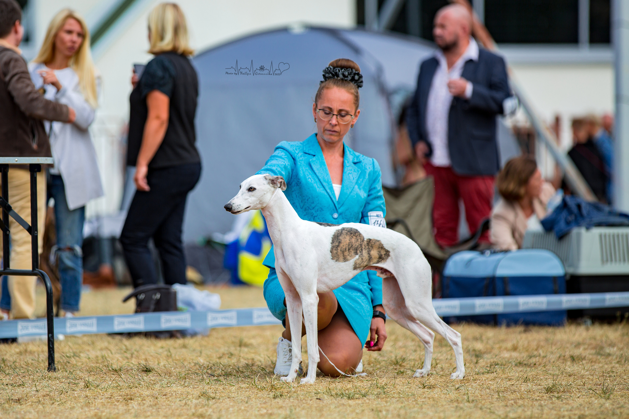 Минск 2хCACIB 3-4.09.2022. Фотограф-анималист Юлия Германика
