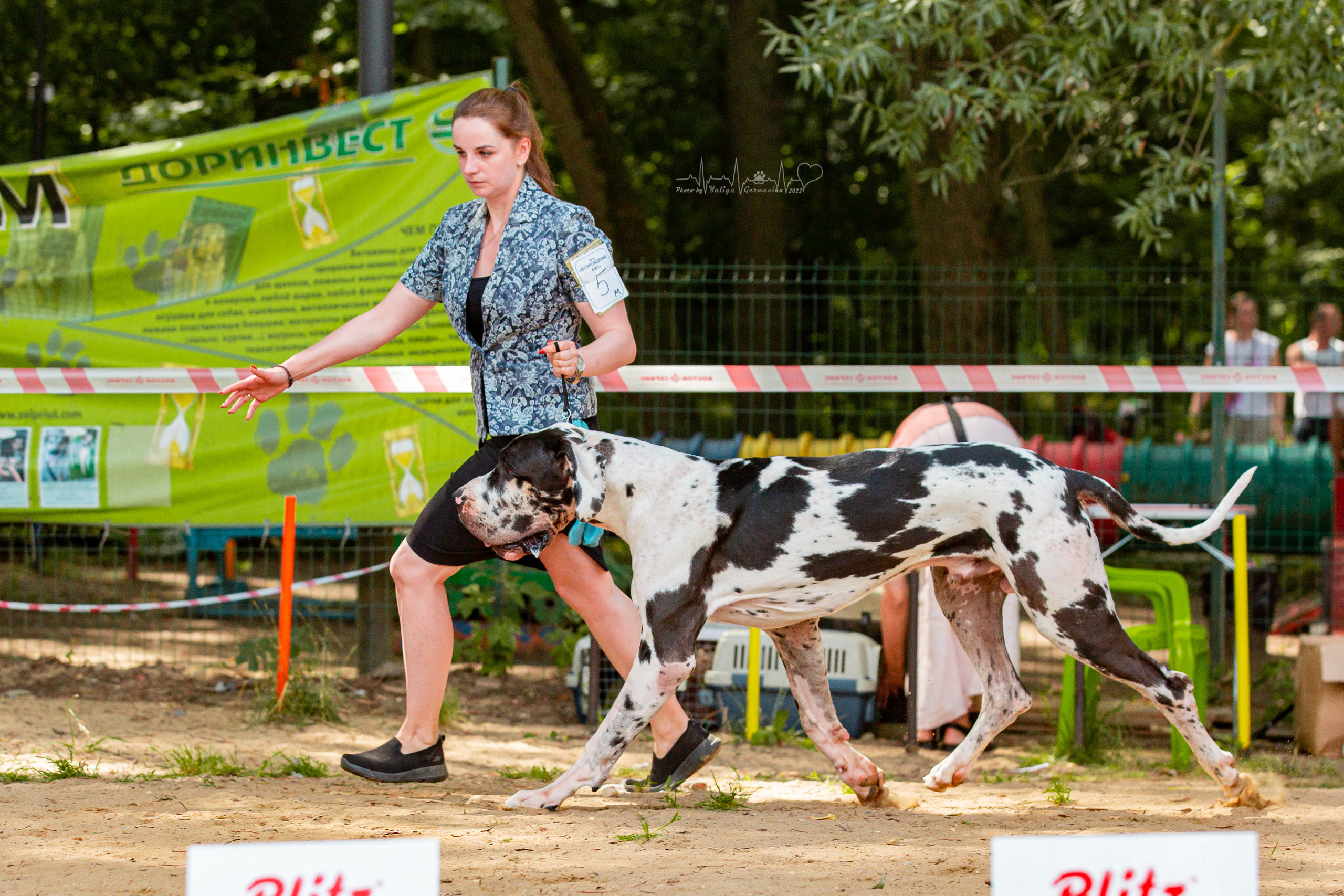Ховрино фестиваль монопородок 14.08.2022. Фотограф-анималист Юлия Германика