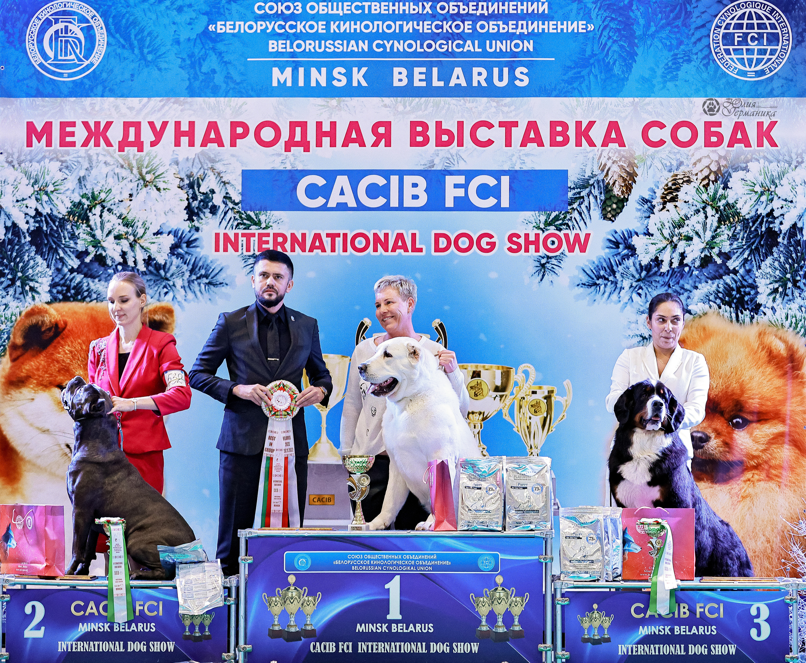 Минск 19-20.11.2022. Фотограф-анималист Юлия Германика