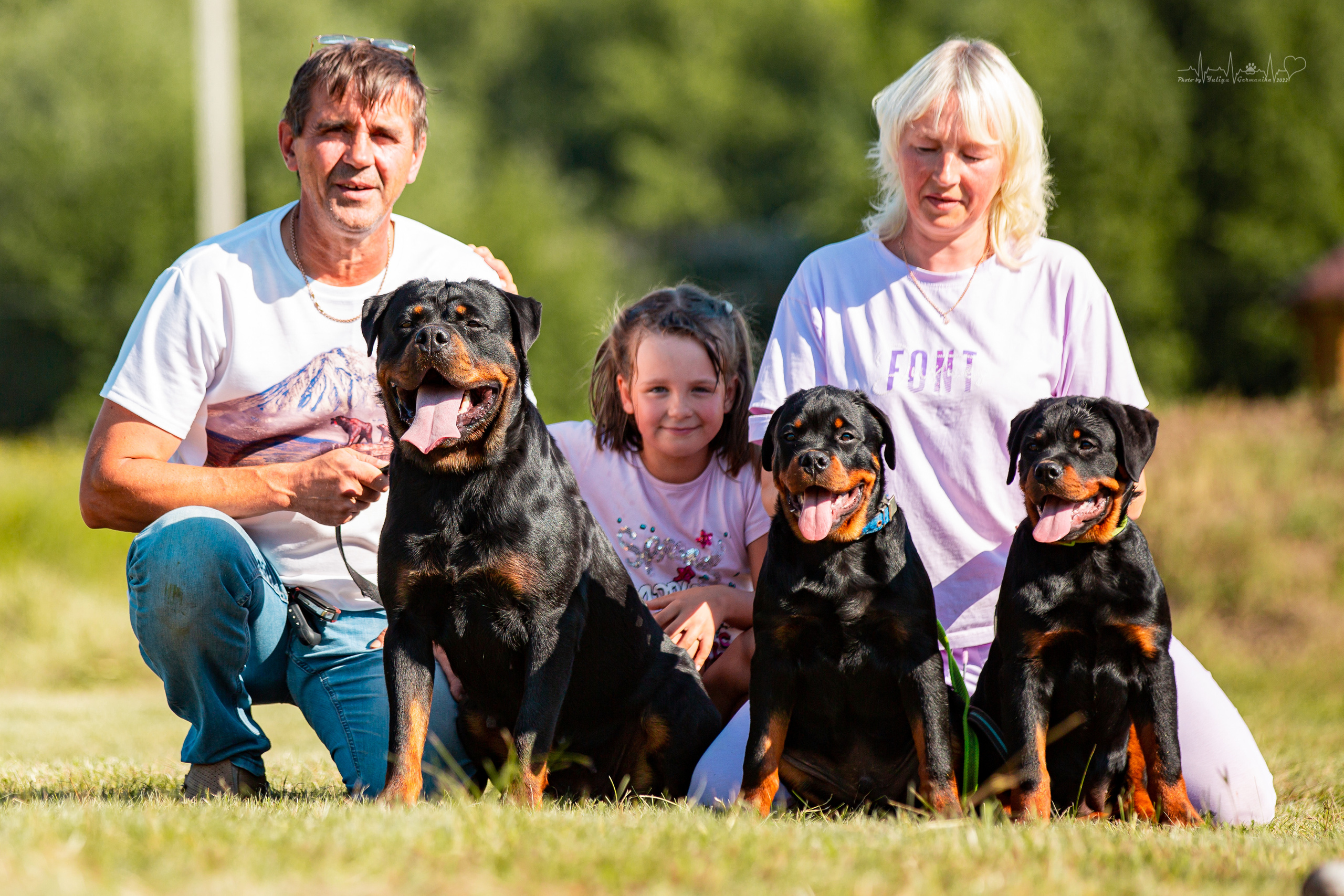 Рязань моно ротвейлеров 13.08.2022. Фотограф-анималист Юлия Германика