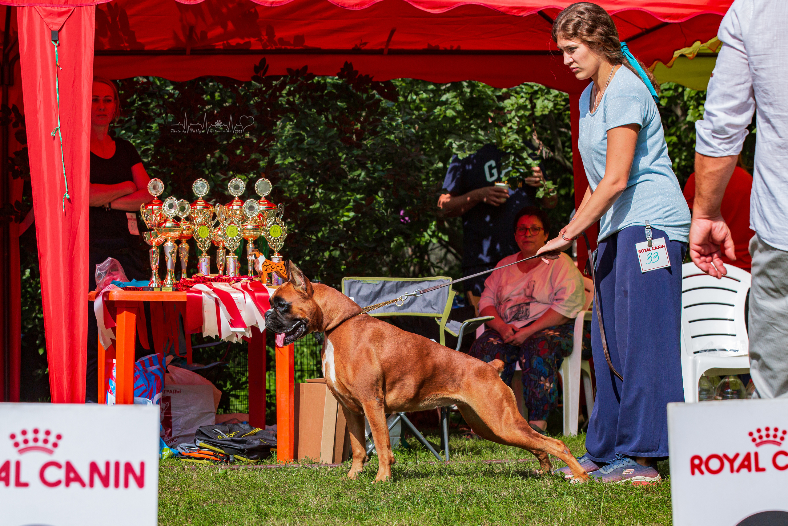 Сокольники 21.08,Сергиев Посад 27-28.08 2022. Фотограф-анималист Юлия Германика