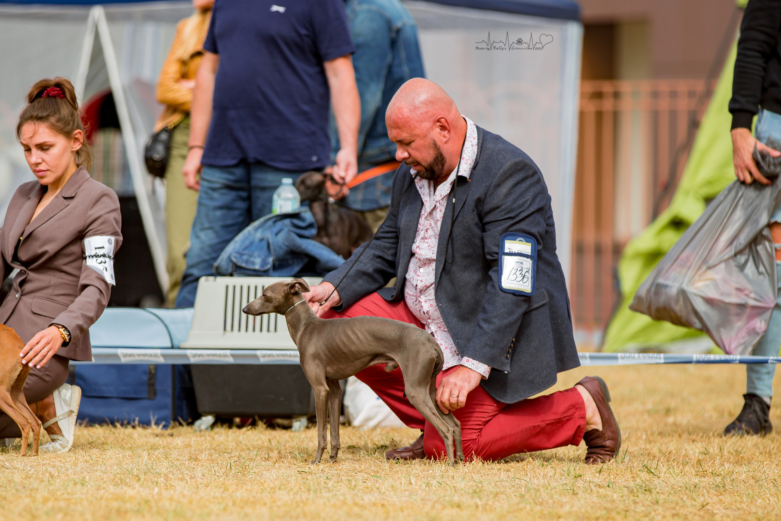 Минск 2хCACIB 3-4.09.2022. Фотограф-анималист Юлия Германика