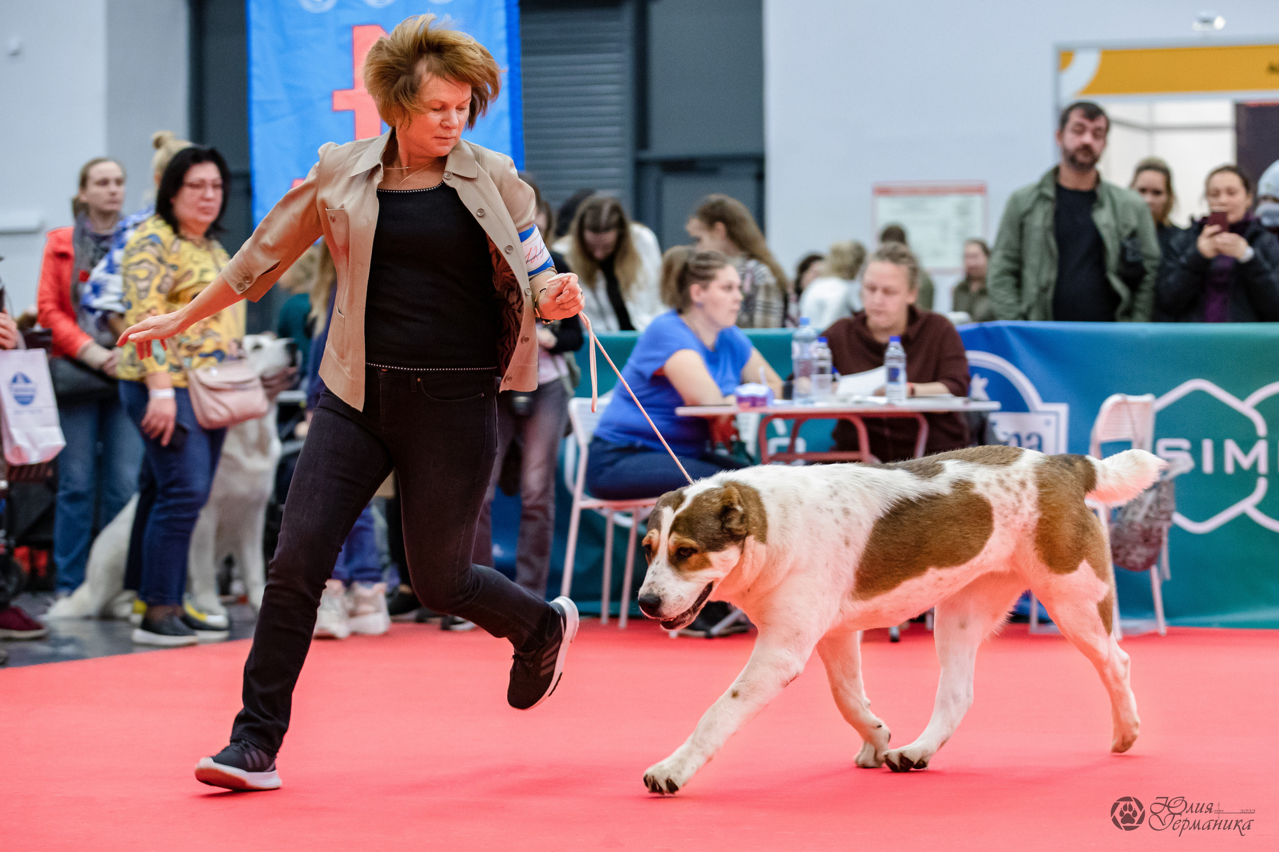 Нижний Новгород 15-16.10.2022. Фотограф-анималист Юлия Германика