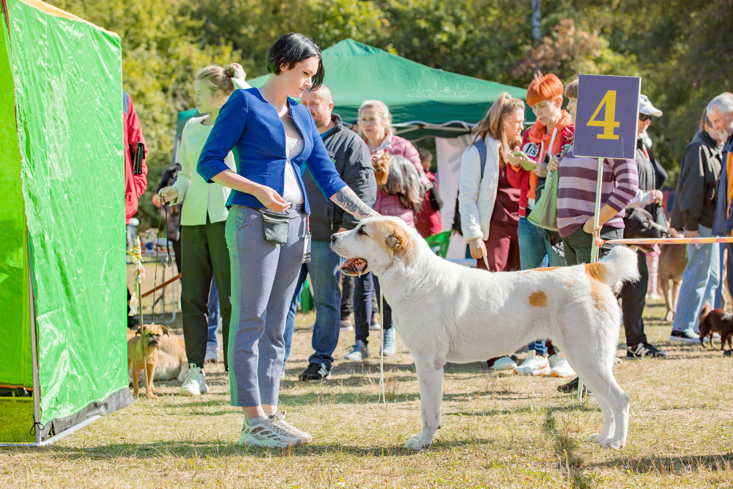 Пушкино ЧРКФ 17.09.2022. Фотограф-анималист Юлия Германика