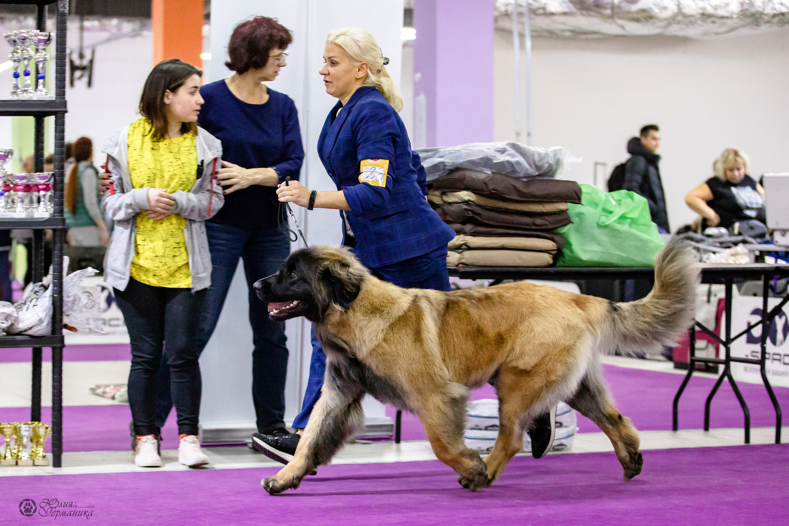 Чайна-Таун 29-30.10.2022. Фотограф-анималист Юлия Германика