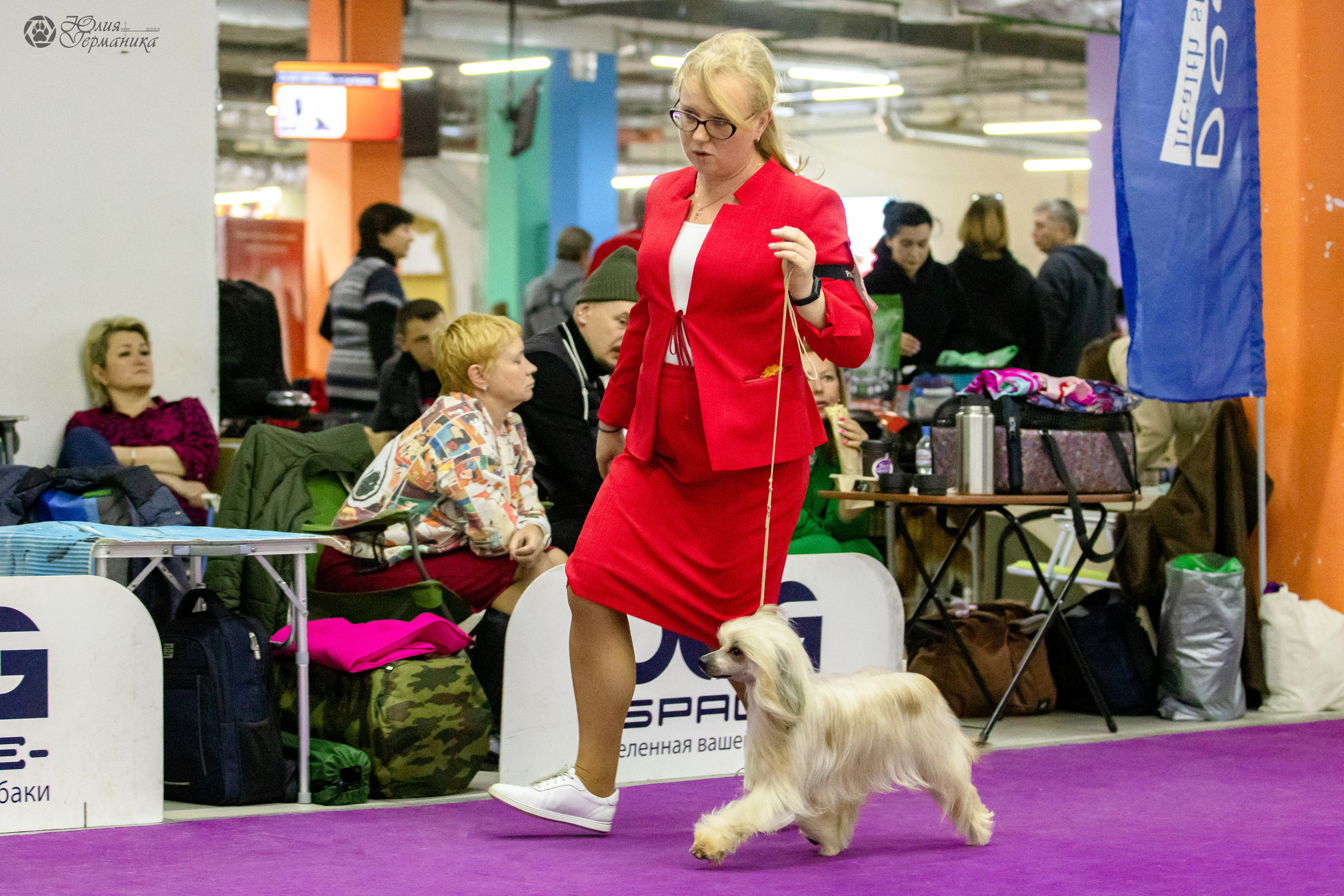 Чайна-Таун 3 и 12.11.2022. Фотограф-анималист Юлия Германика