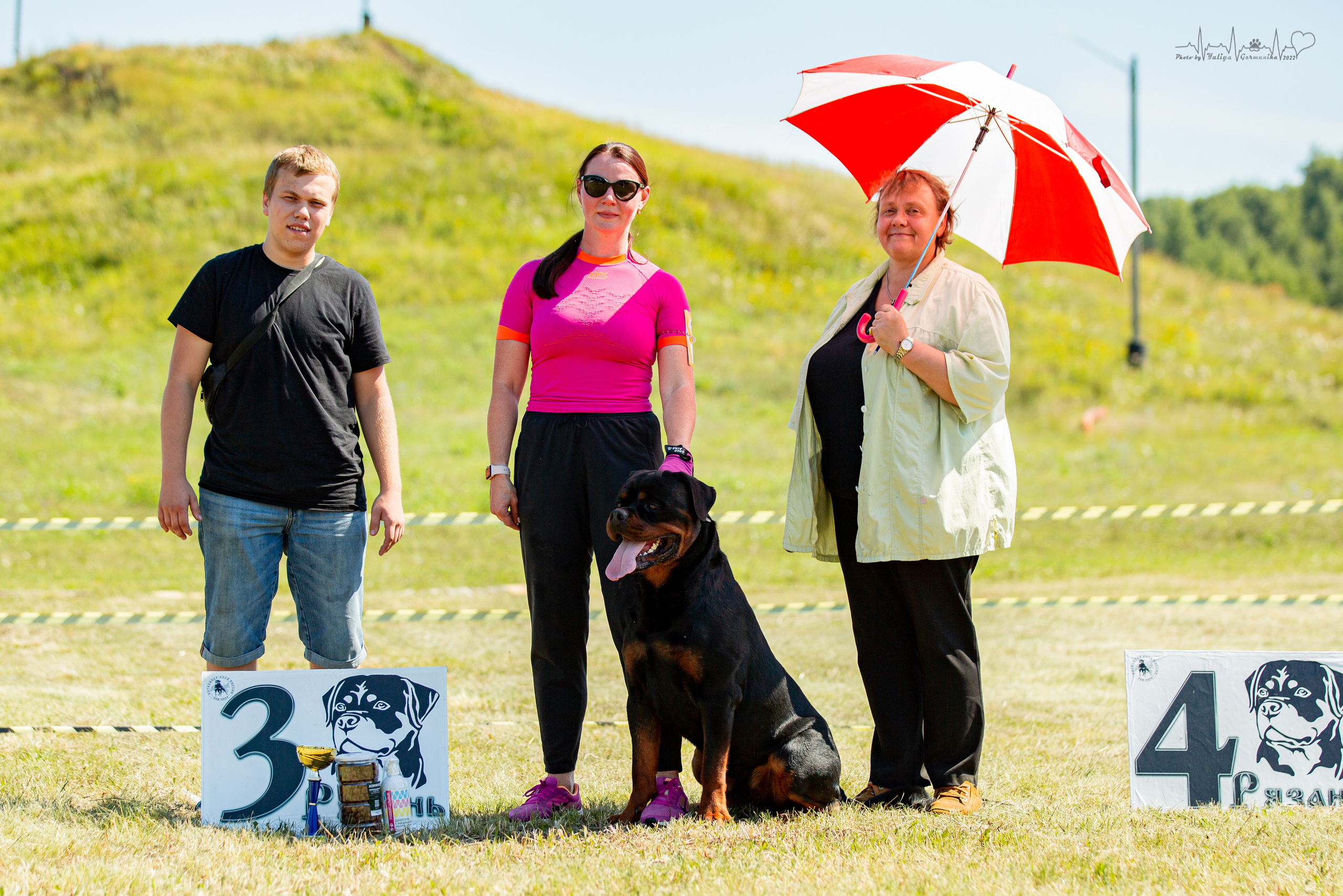 Рязань моно ротвейлеров 13.08.2022. Фотограф-анималист Юлия Германика