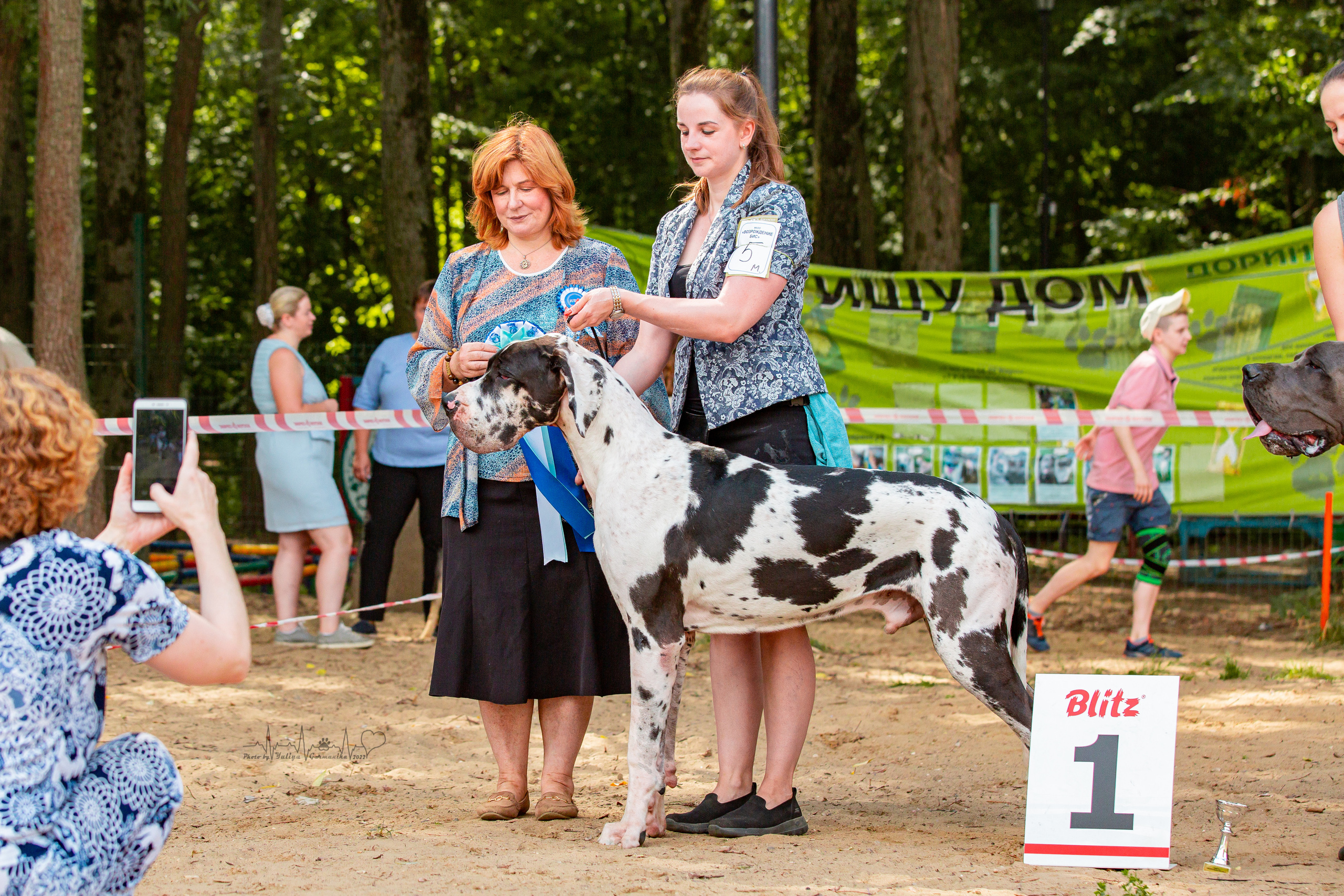 Ховрино фестиваль монопородок 14.08.2022. Фотограф-анималист Юлия Германика