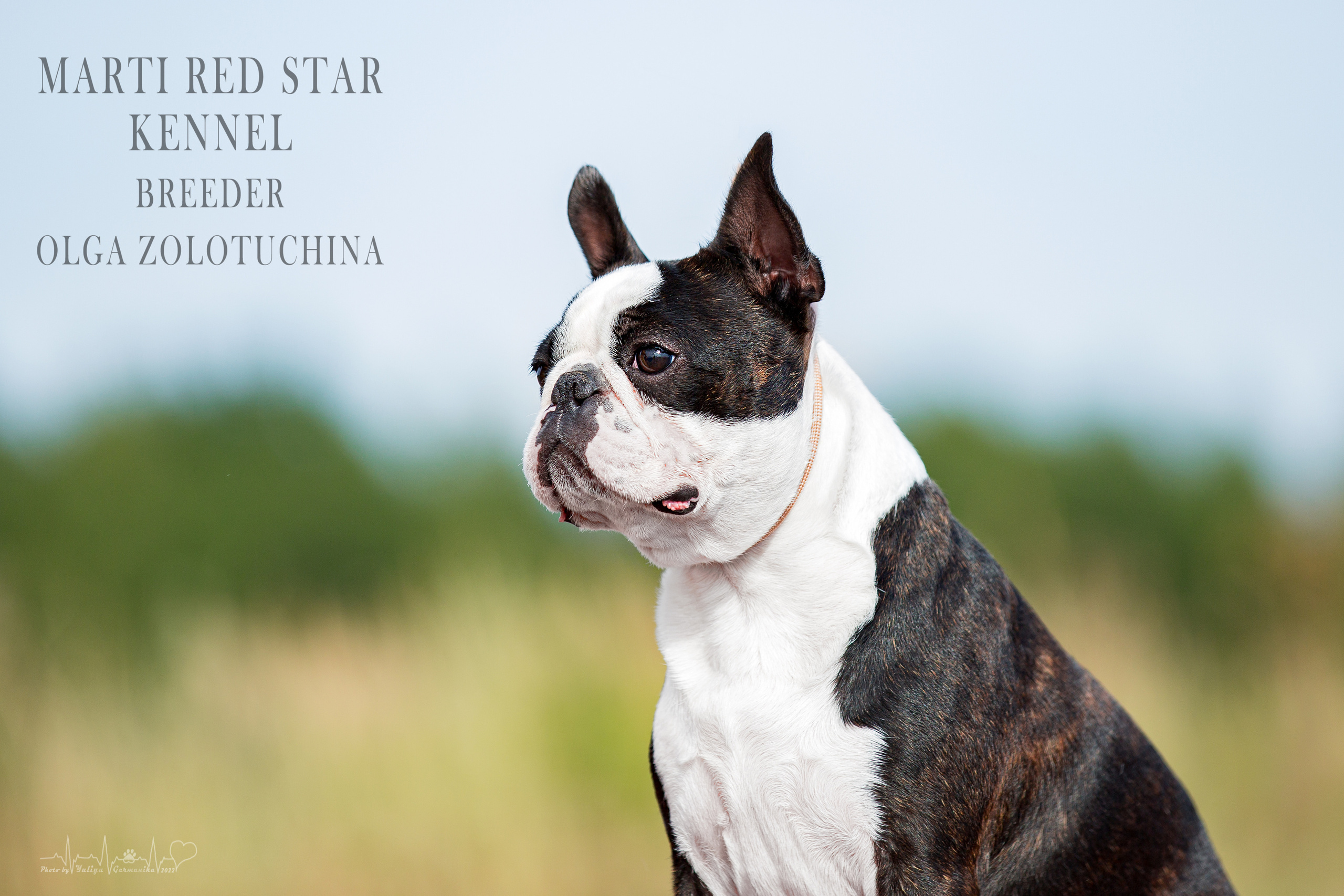 Сокольники 21.08,Сергиев Посад 27-28.08 2022. Фотограф-анималист Юлия Германика