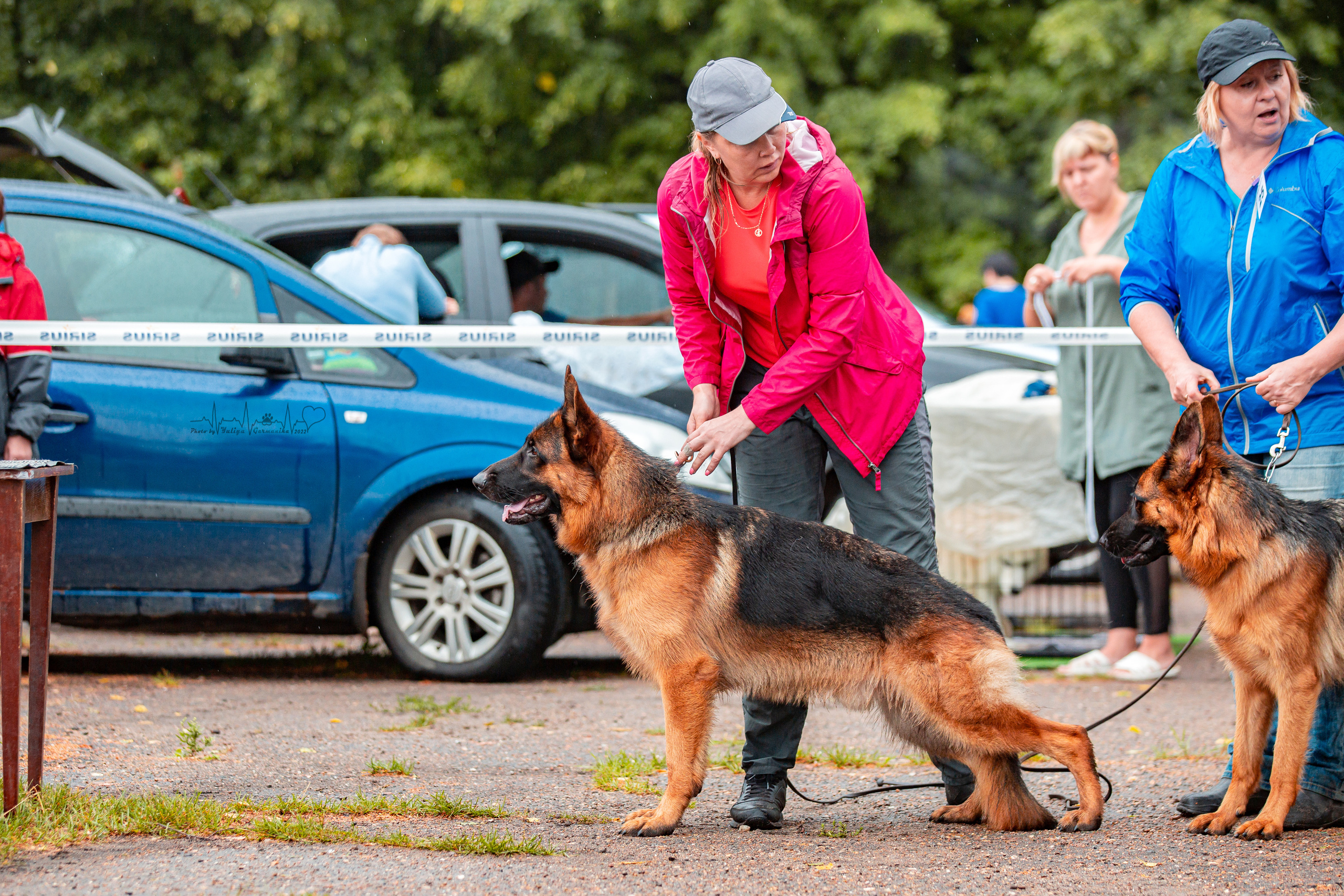 Ховрино 31.07,Чайна-Таун 6.08,Тверь 7.08. Фотограф-анималист Юлия Германика