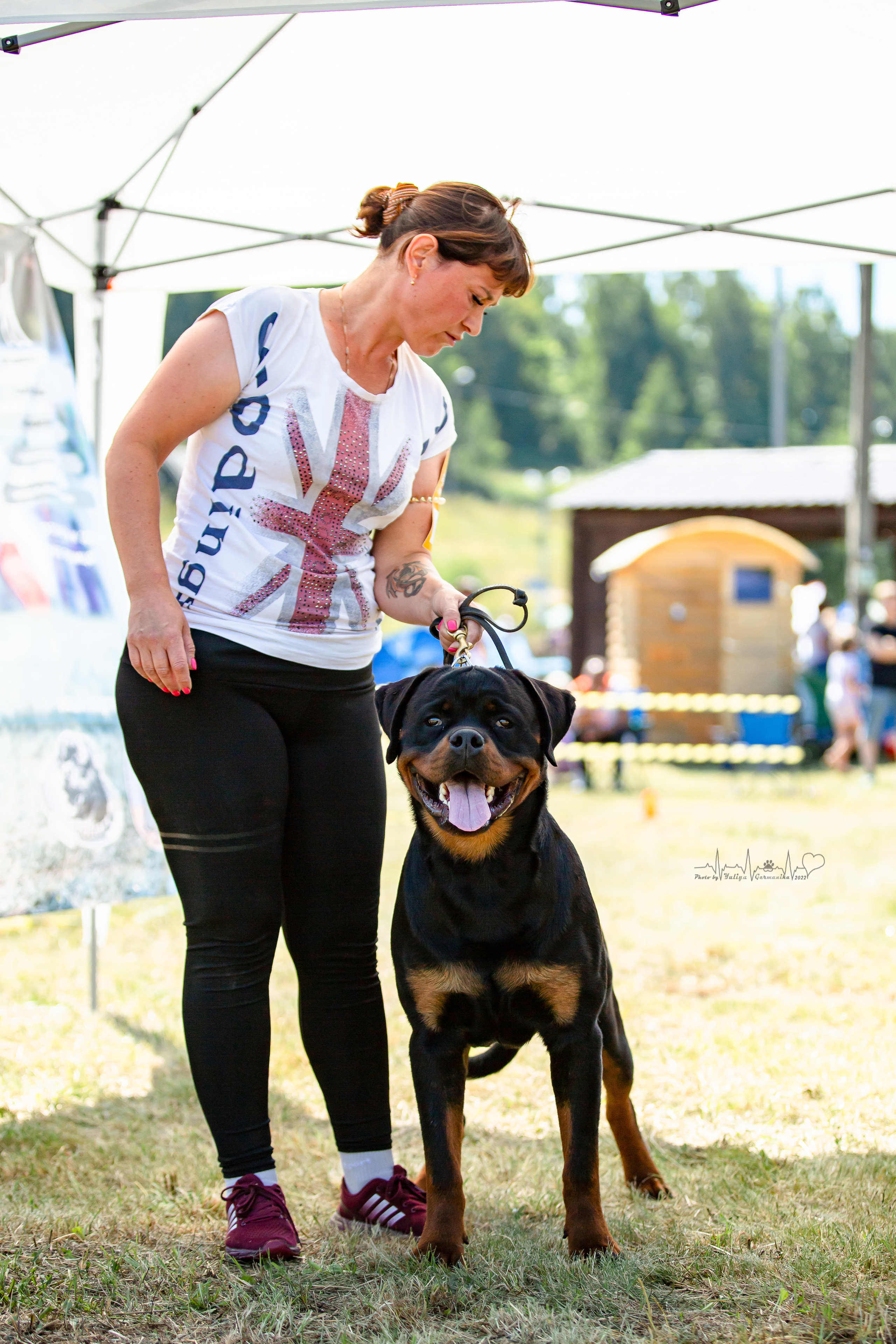 Рязань моно ротвейлеров 13.08.2022. Фотограф-анималист Юлия Германика