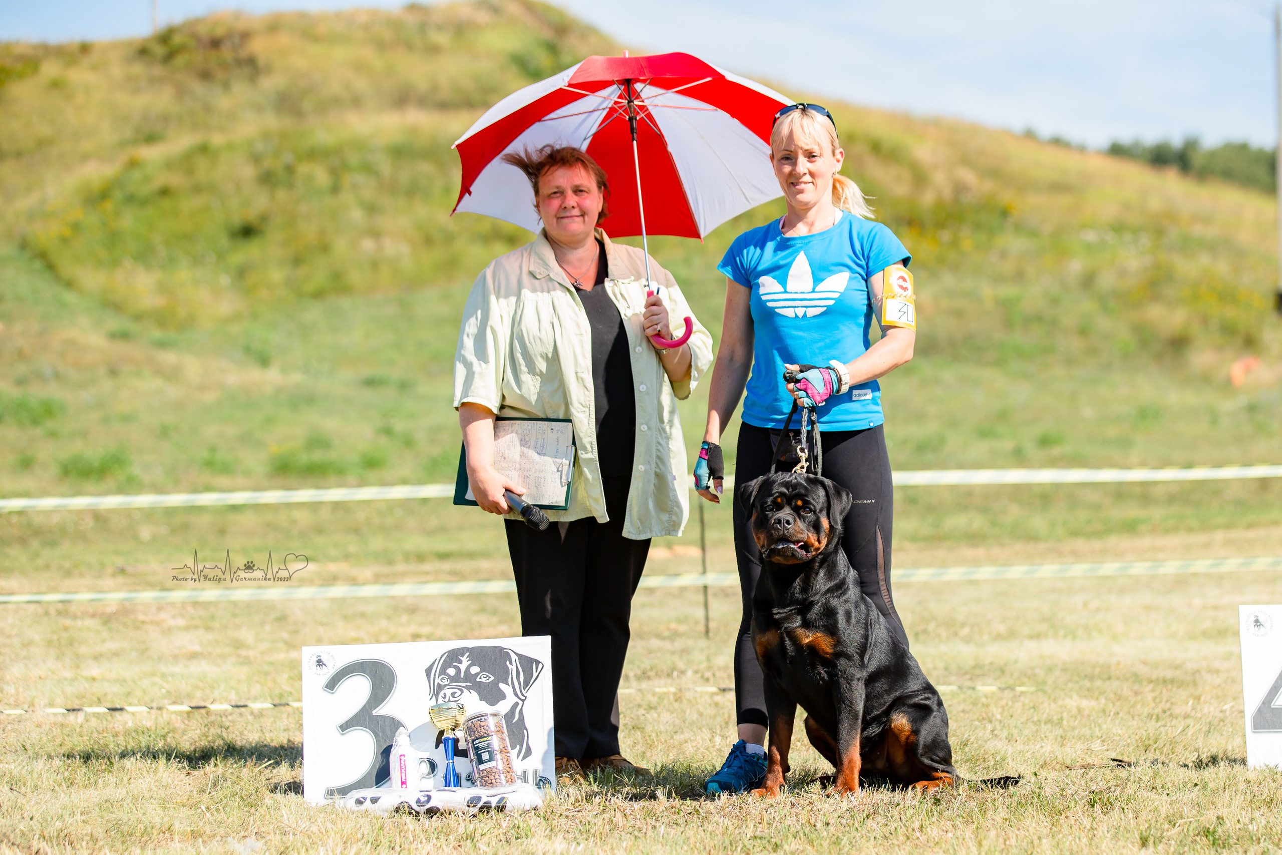 Рязань моно ротвейлеров 13.08.2022. Фотограф-анималист Юлия Германика