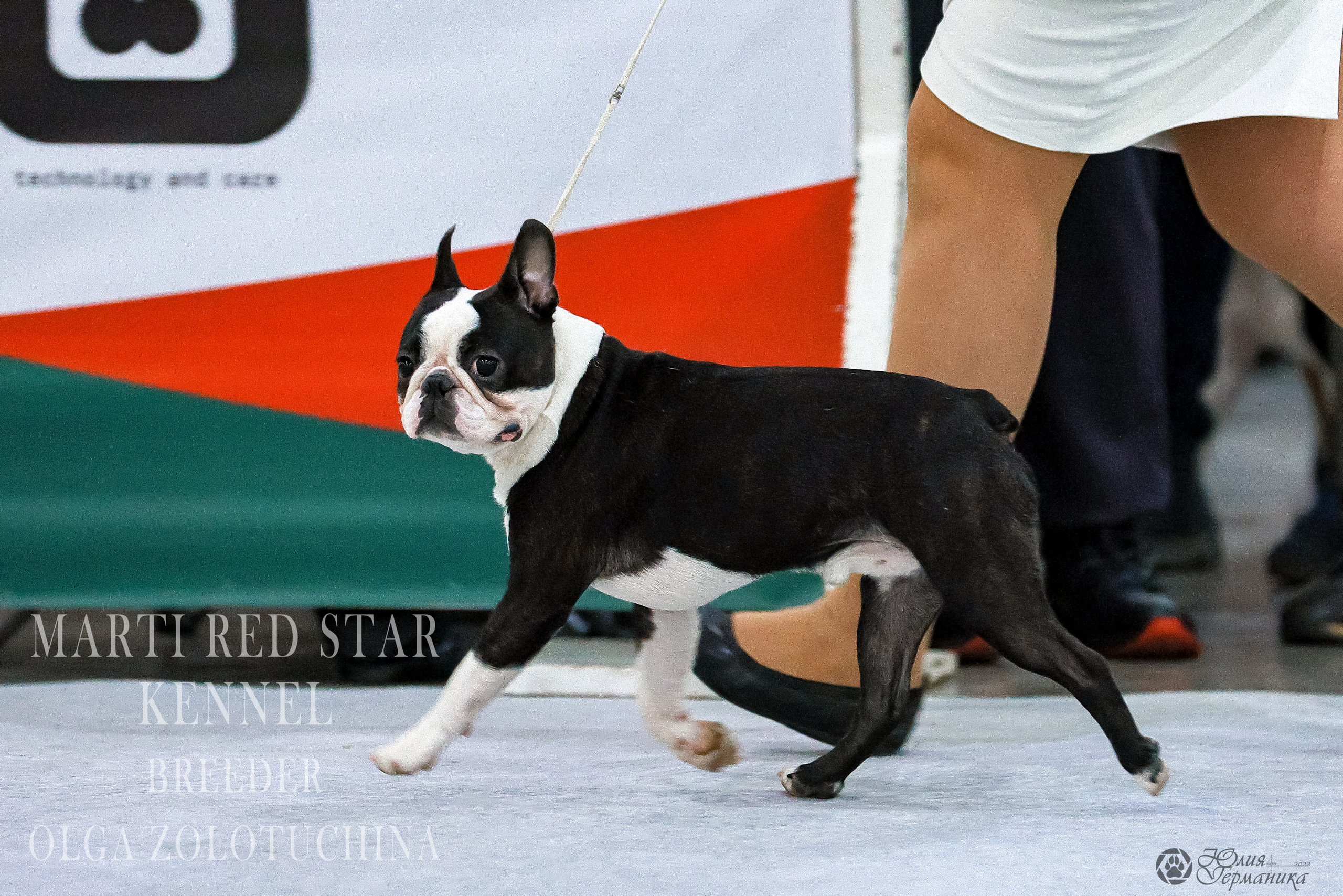 Россия 2020-2022 26-27.11.2022. Фотограф-анималист Юлия Германика