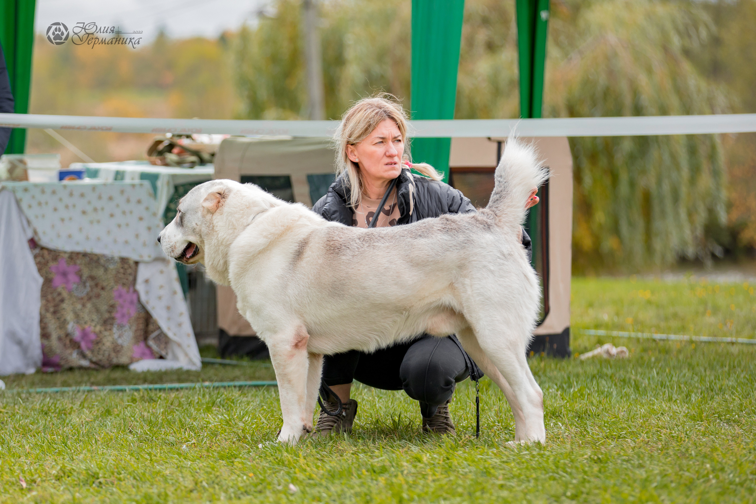 Александрова Слобода моно сао 2.10.2022. Фотограф-анималист Юлия Германика