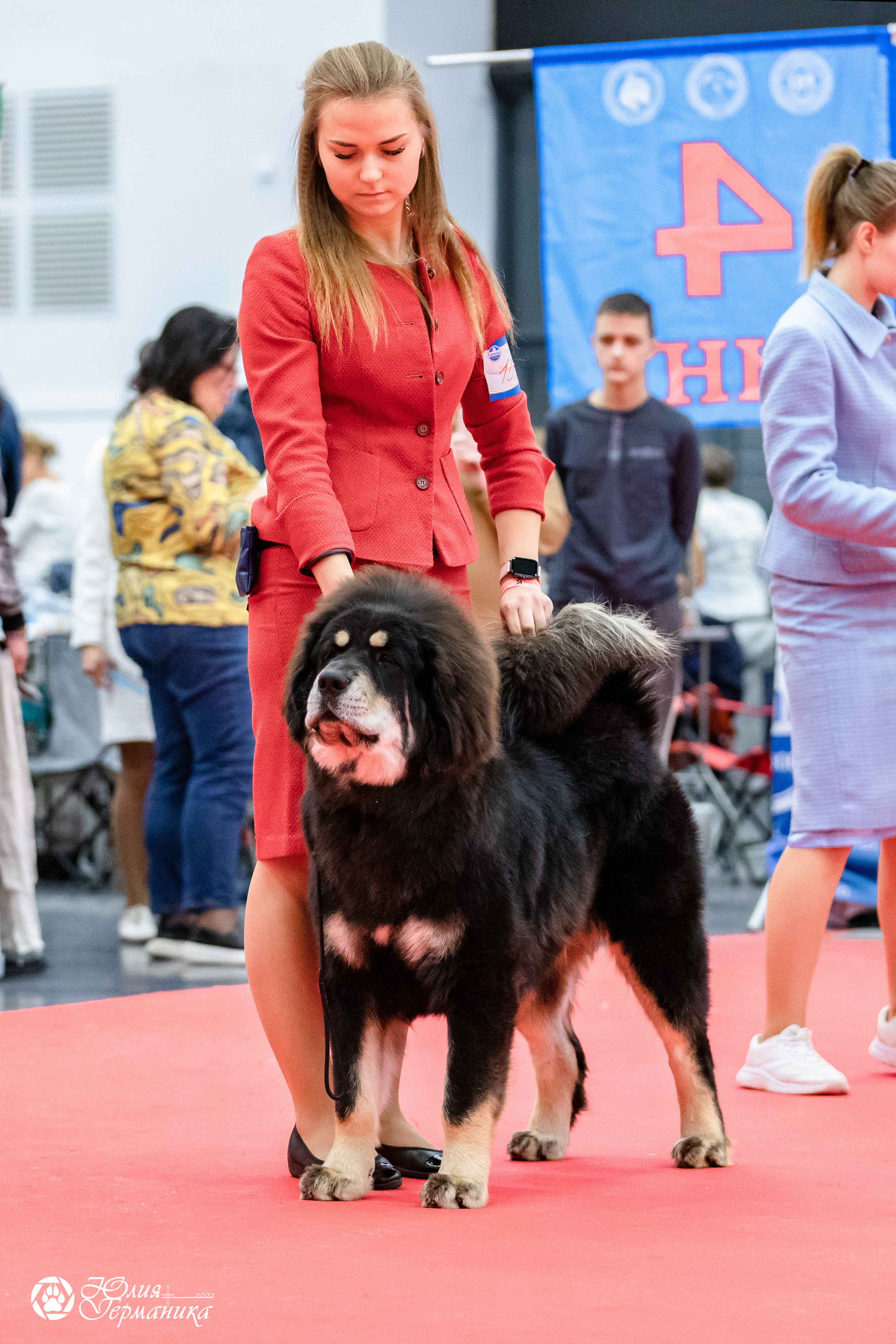 Нижний Новгород 15-16.10.2022. Фотограф-анималист Юлия Германика