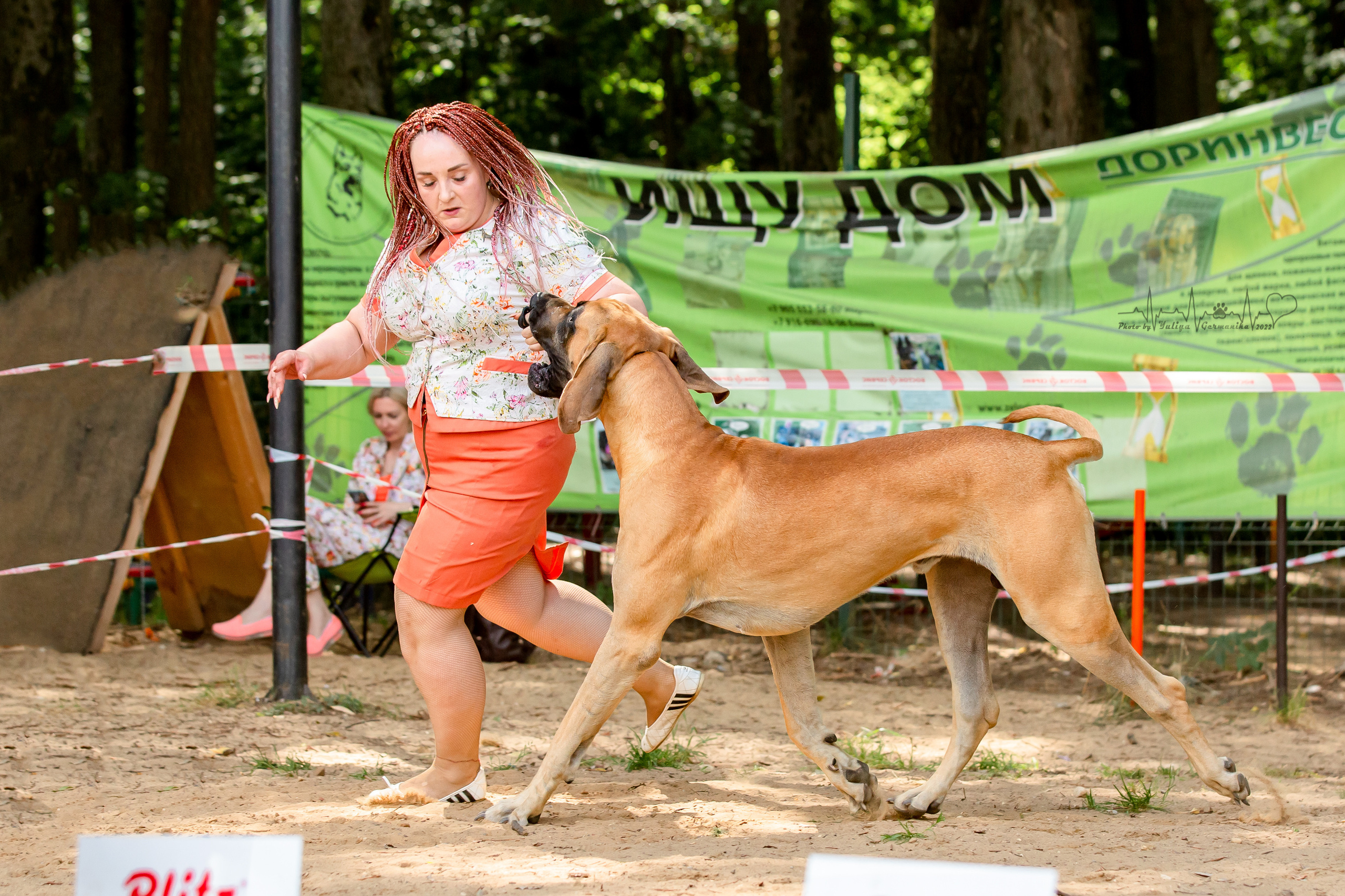 Ховрино фестиваль монопородок 14.08.2022. Фотограф-анималист Юлия Германика