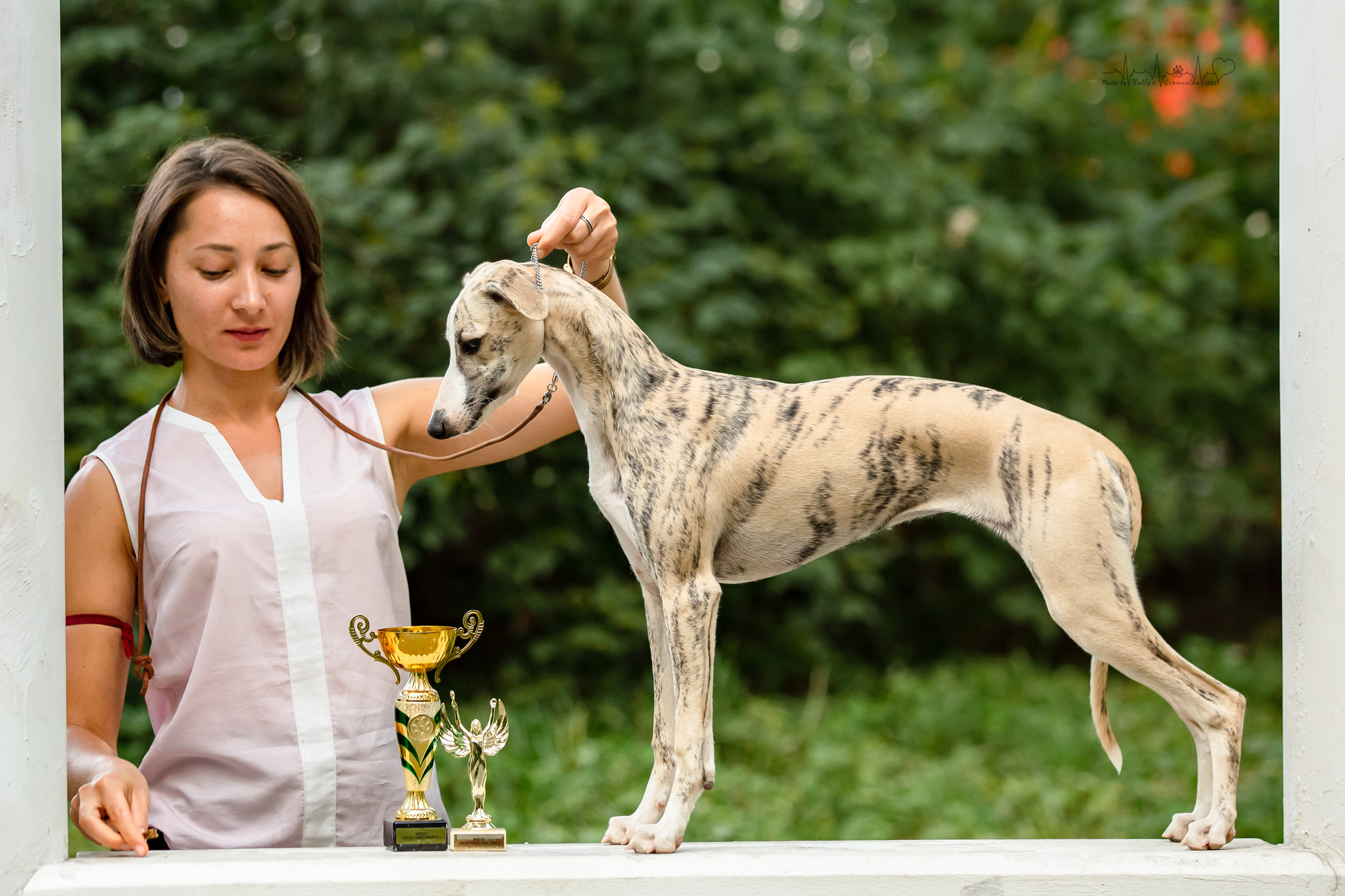 Ховрино фестиваль монопородок 14.08.2022. Фотограф-анималист Юлия Германика
