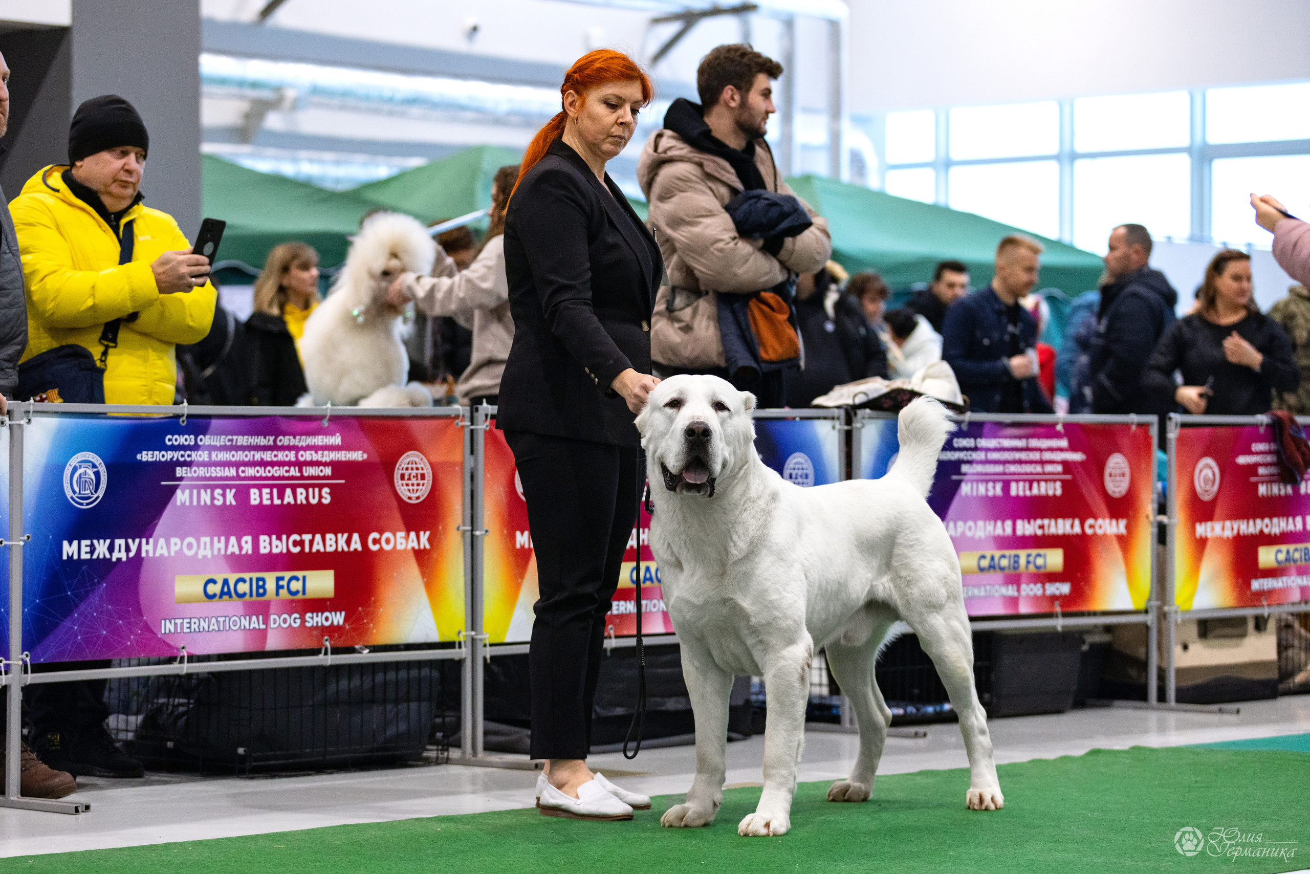 Минск 19-20.11.2022. Фотограф-анималист Юлия Германика