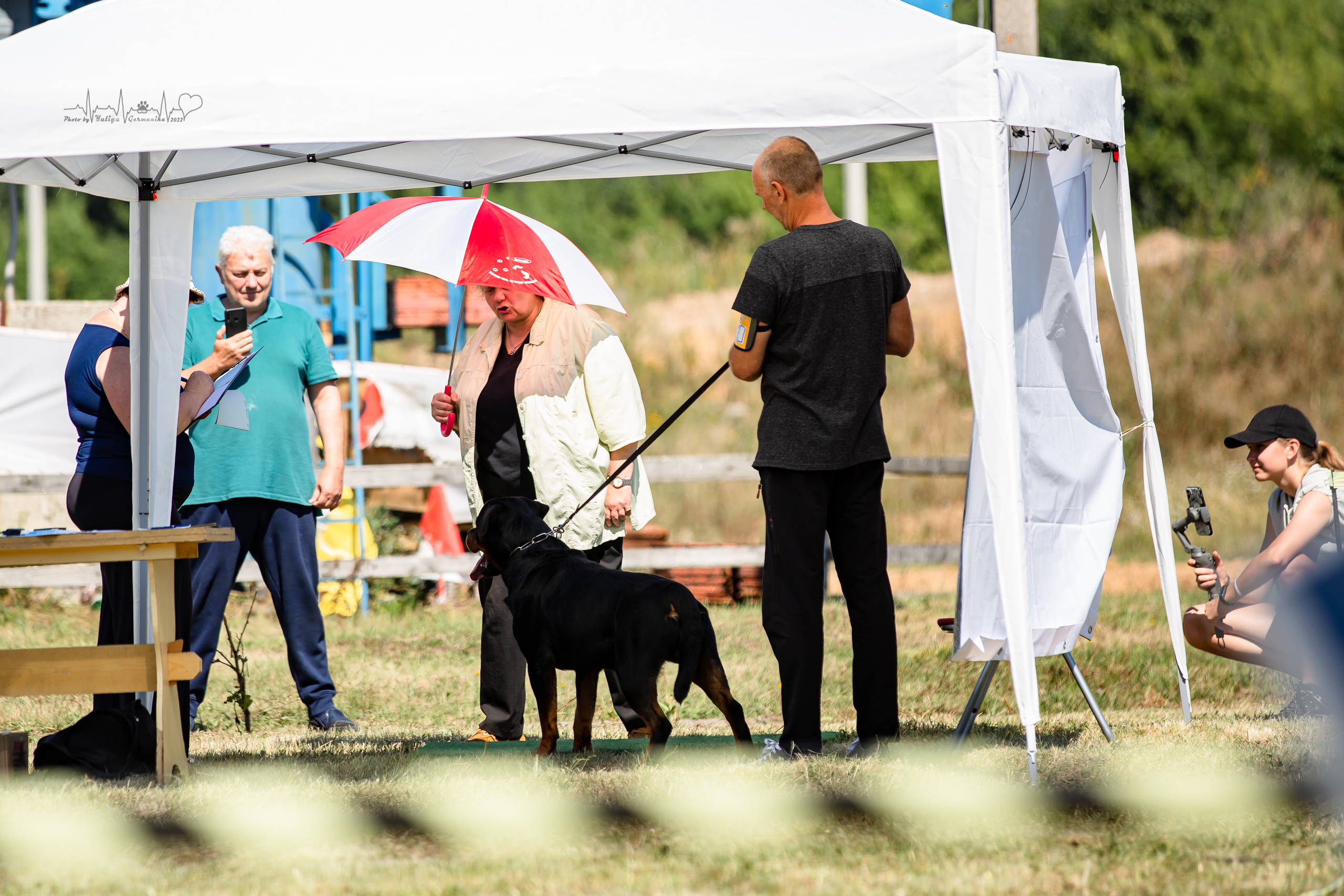 Рязань моно ротвейлеров 13.08.2022. Фотограф-анималист Юлия Германика