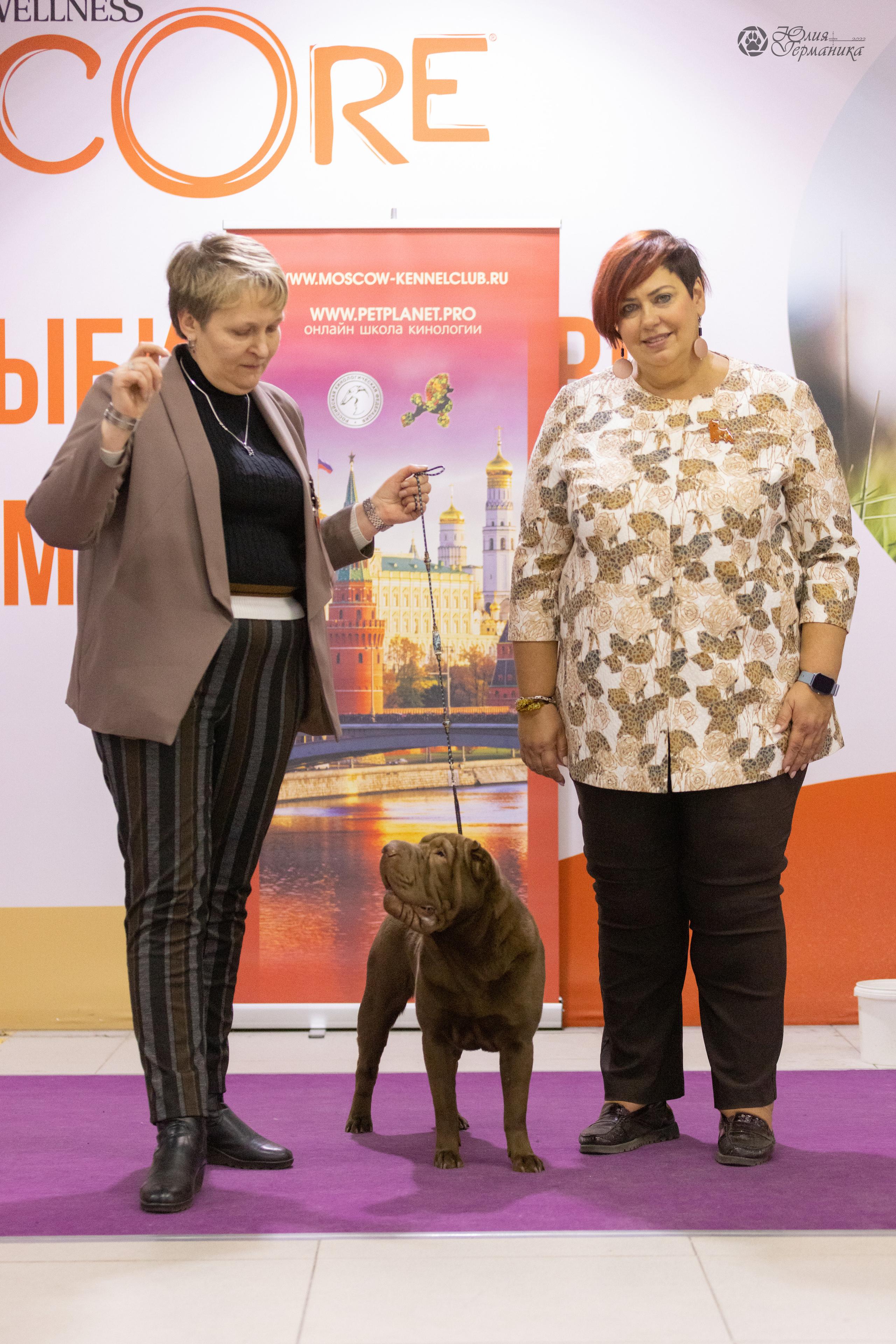 Чайна-Таун 3 и 12.11.2022. Фотограф-анималист Юлия Германика