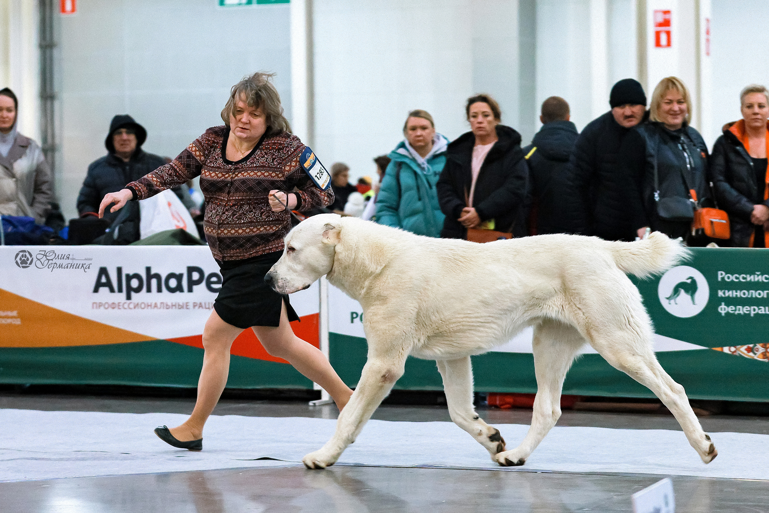 Россия 2020-2022 26-27.11.2022. Фотограф-анималист Юлия Германика