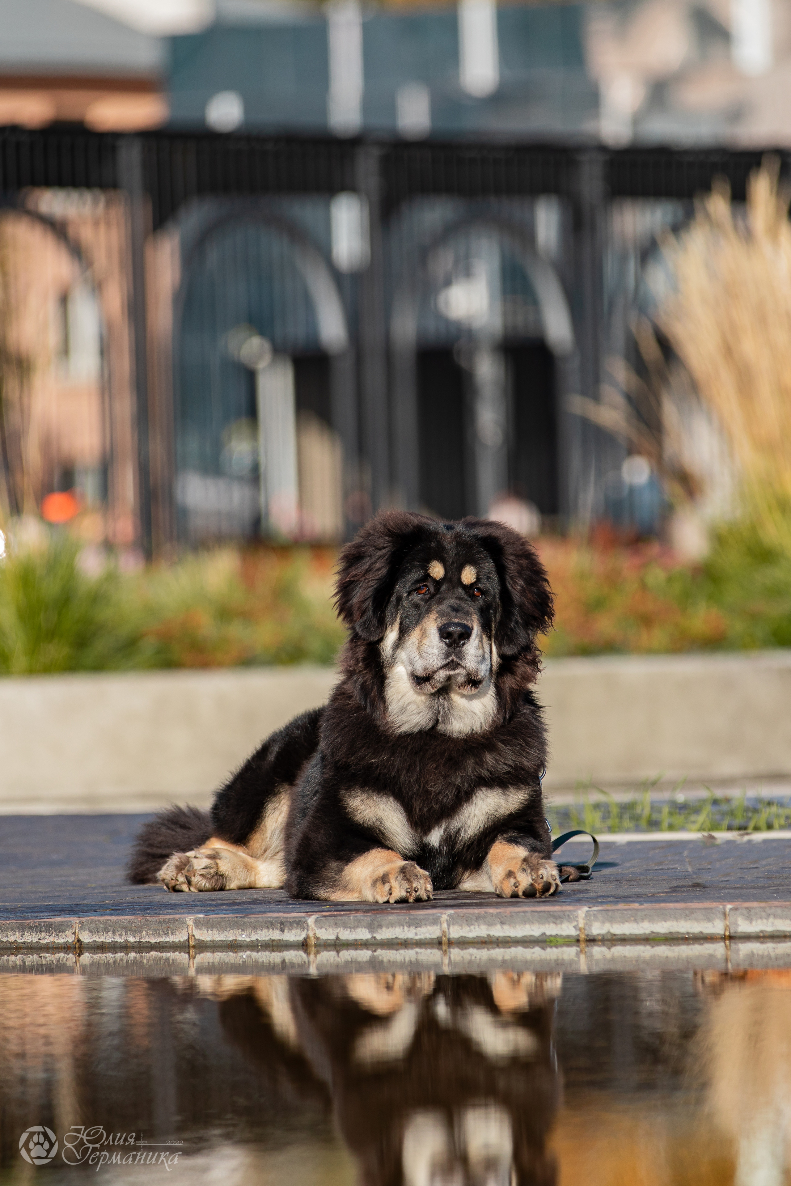 Нижний Новгород 15-16.10.2022. Фотограф-анималист Юлия Германика