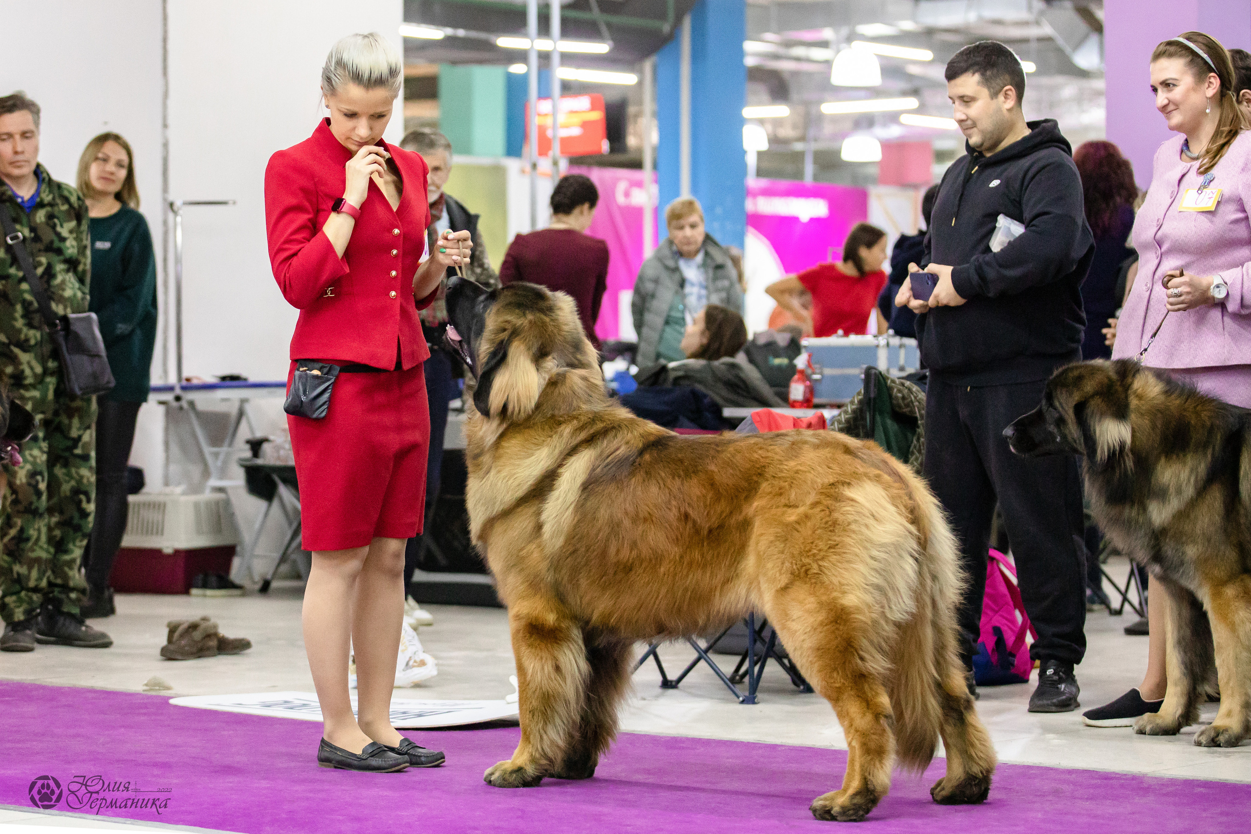 Чайна-Таун 29-30.10.2022. Фотограф-анималист Юлия Германика