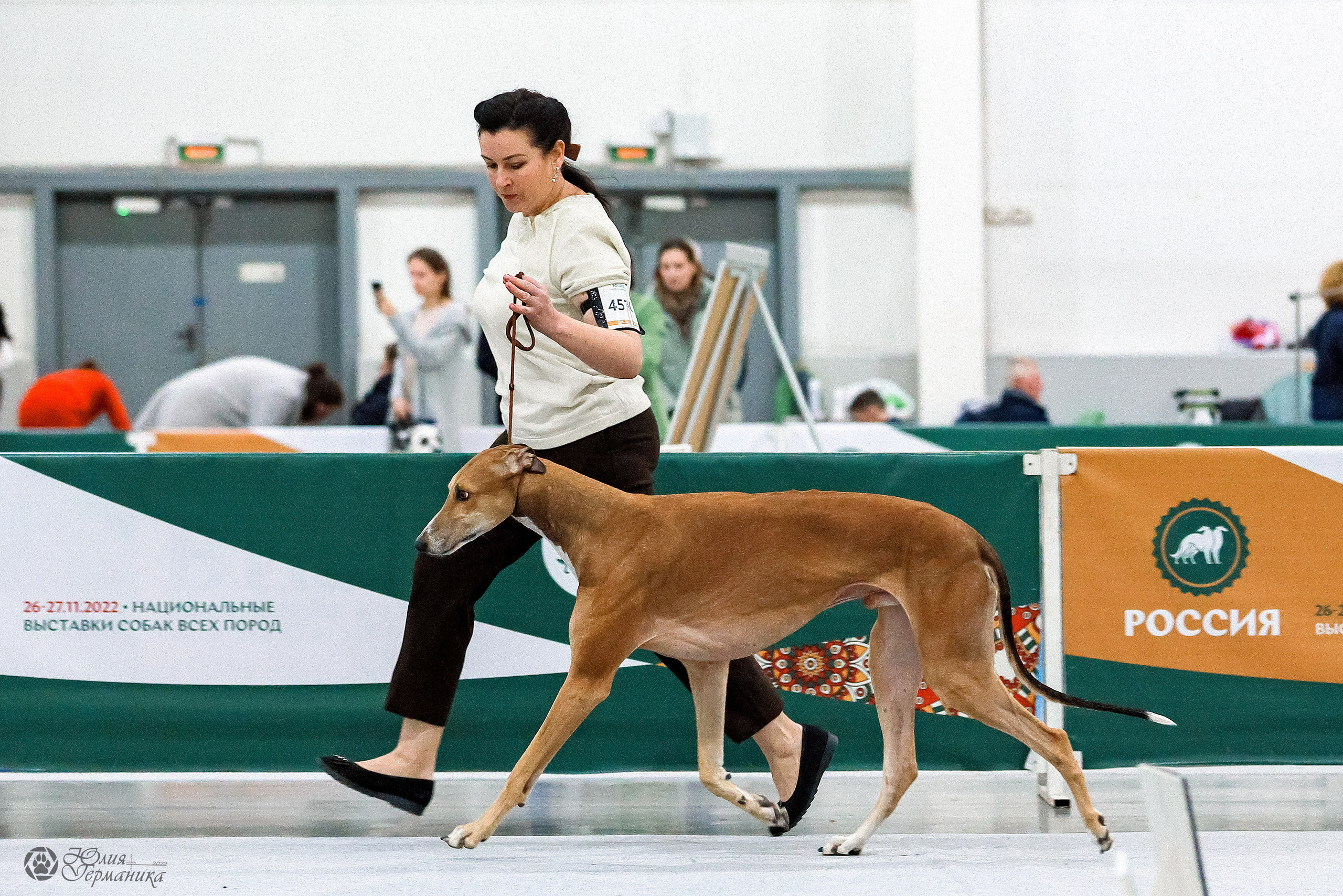 Россия 2020-2022 26-27.11.2022. Фотограф-анималист Юлия Германика