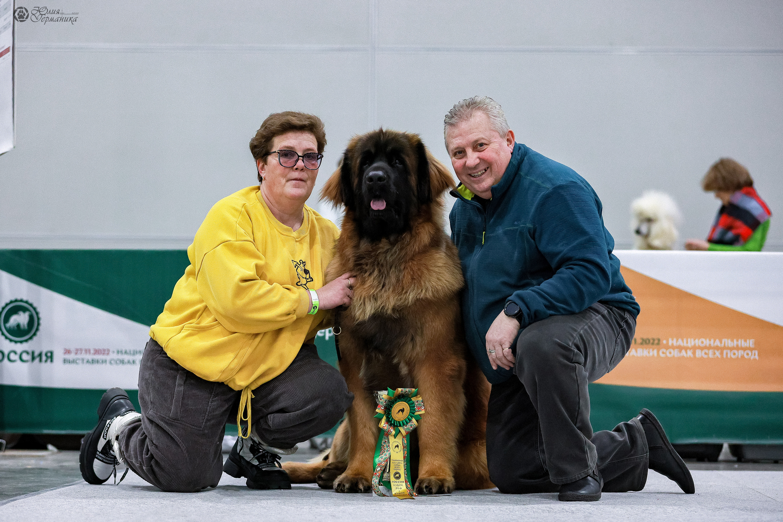 Россия 2020-2022 26-27.11.2022. Фотограф-анималист Юлия Германика