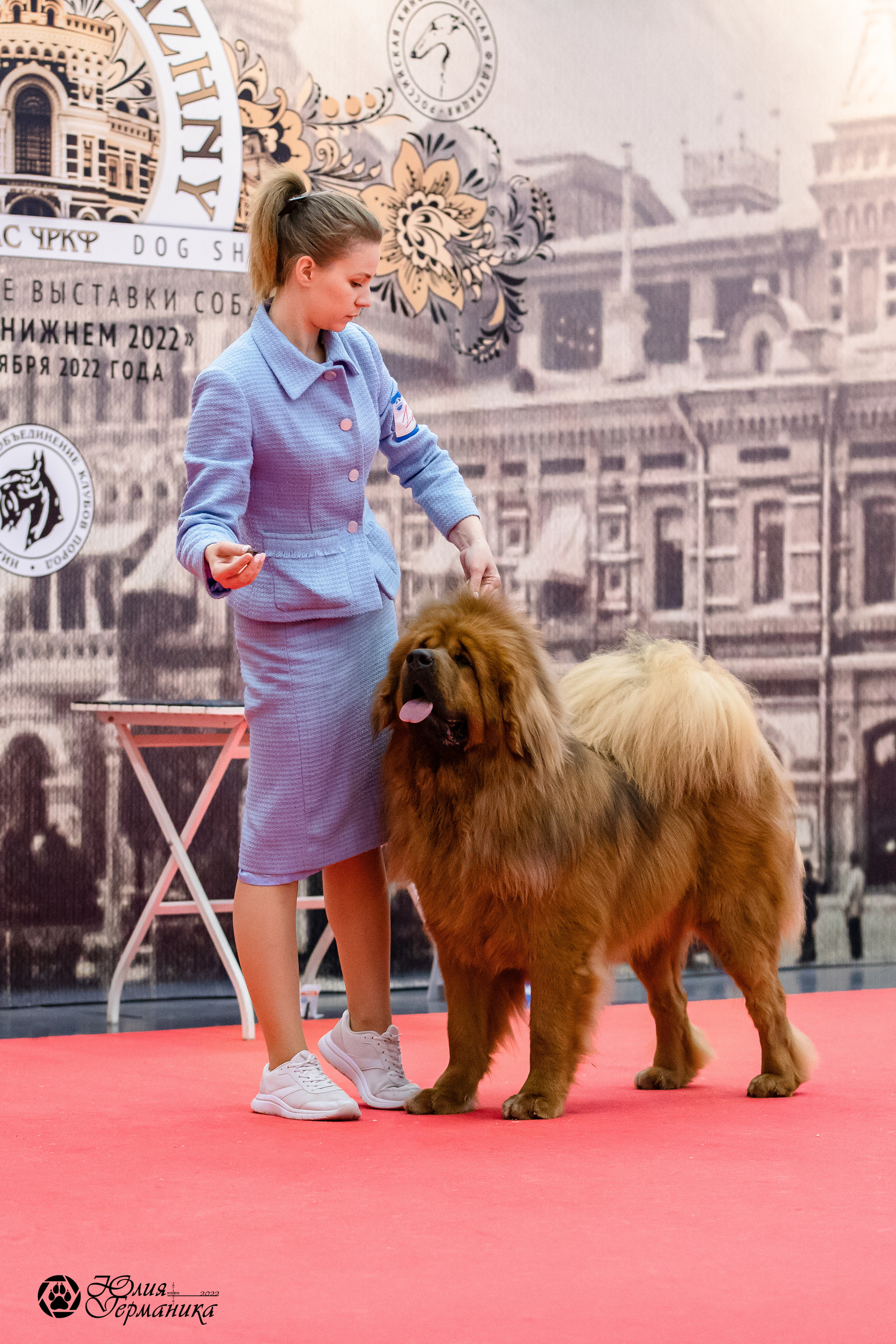 Нижний Новгород 15-16.10.2022. Фотограф-анималист Юлия Германика