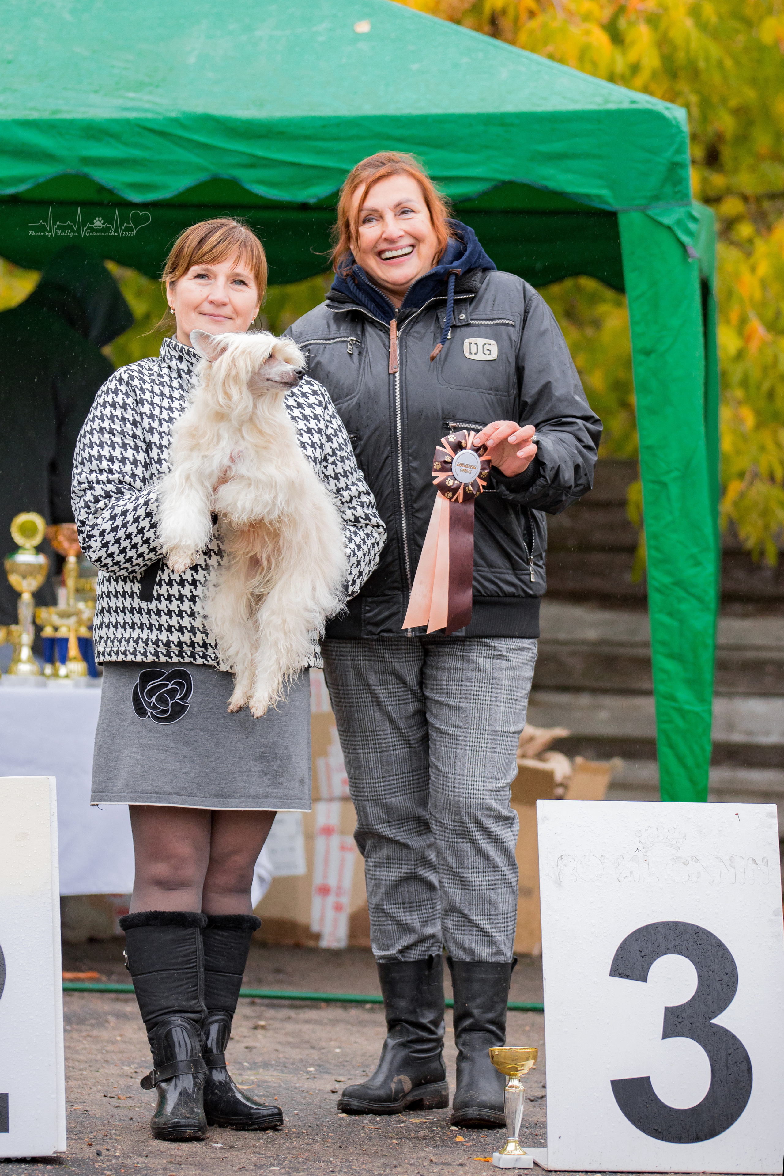 Александров 24.09.2022. Фотограф-анималист Юлия Германика