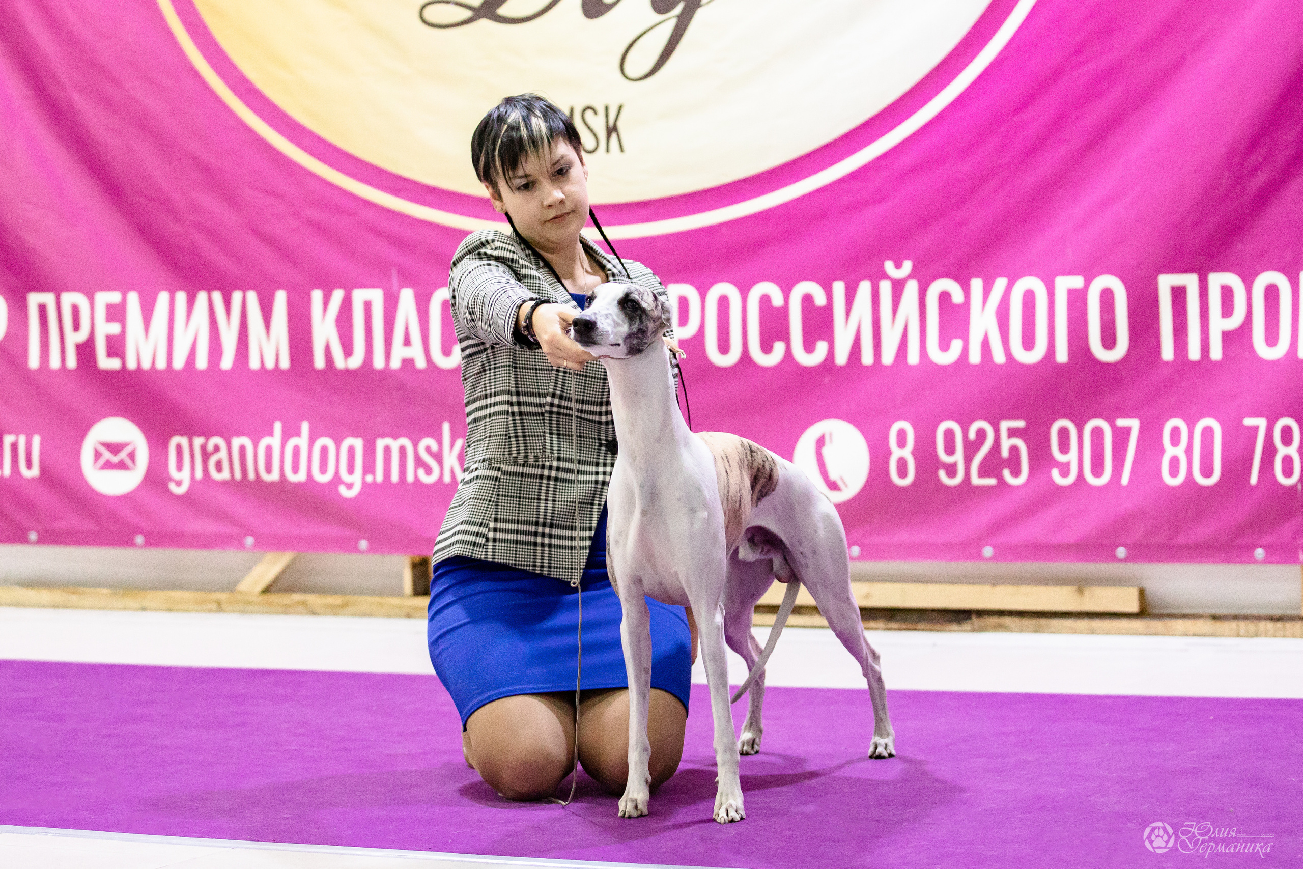 Чайна-Таун 29-30.10.2022. Фотограф-анималист Юлия Германика