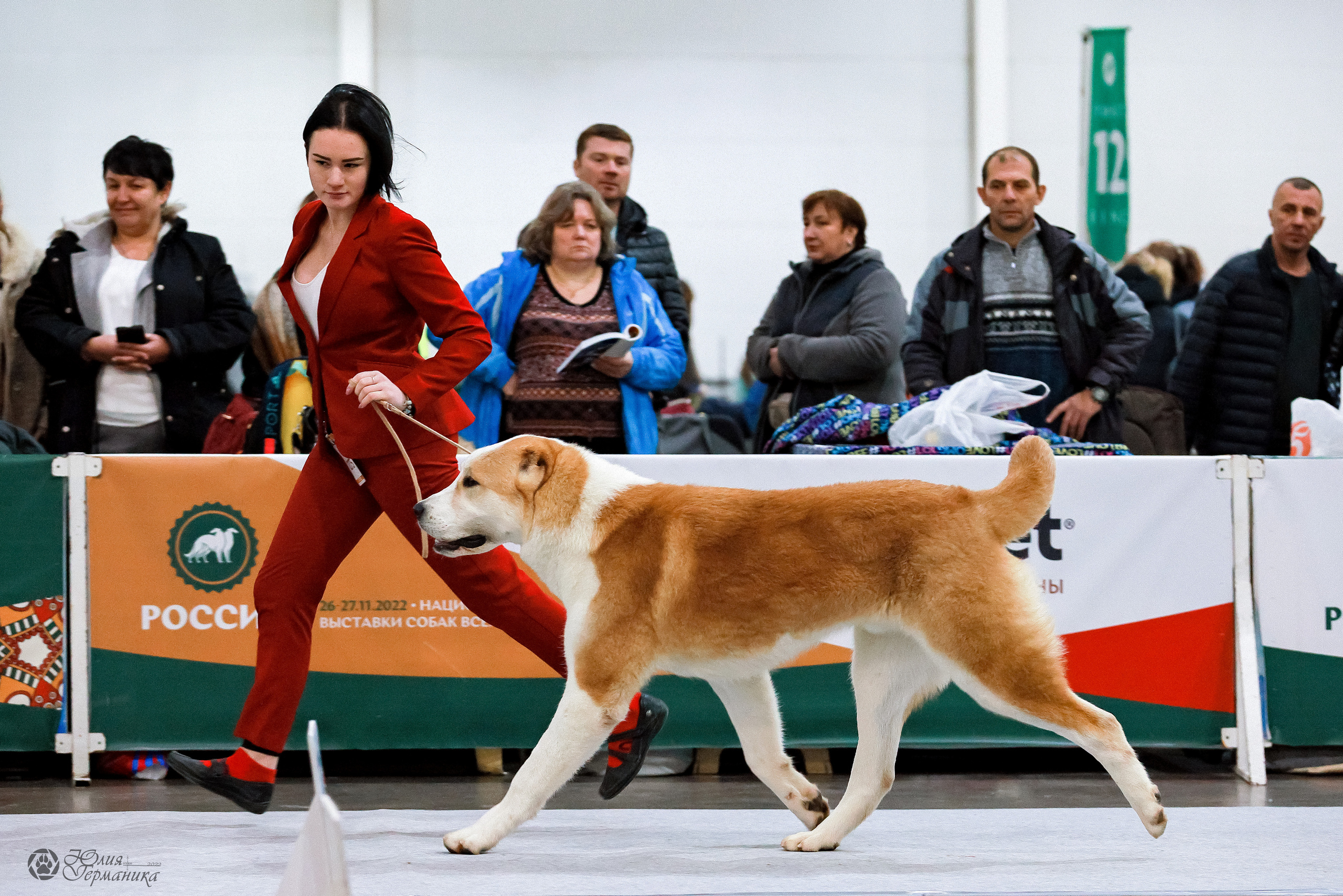 Россия 2020-2022 26-27.11.2022. Фотограф-анималист Юлия Германика