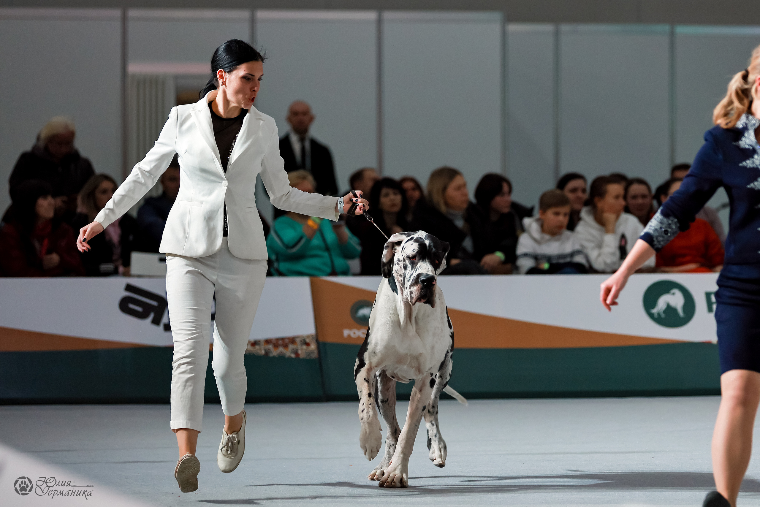 Россия 2020-2022 26-27.11.2022. Фотограф-анималист Юлия Германика