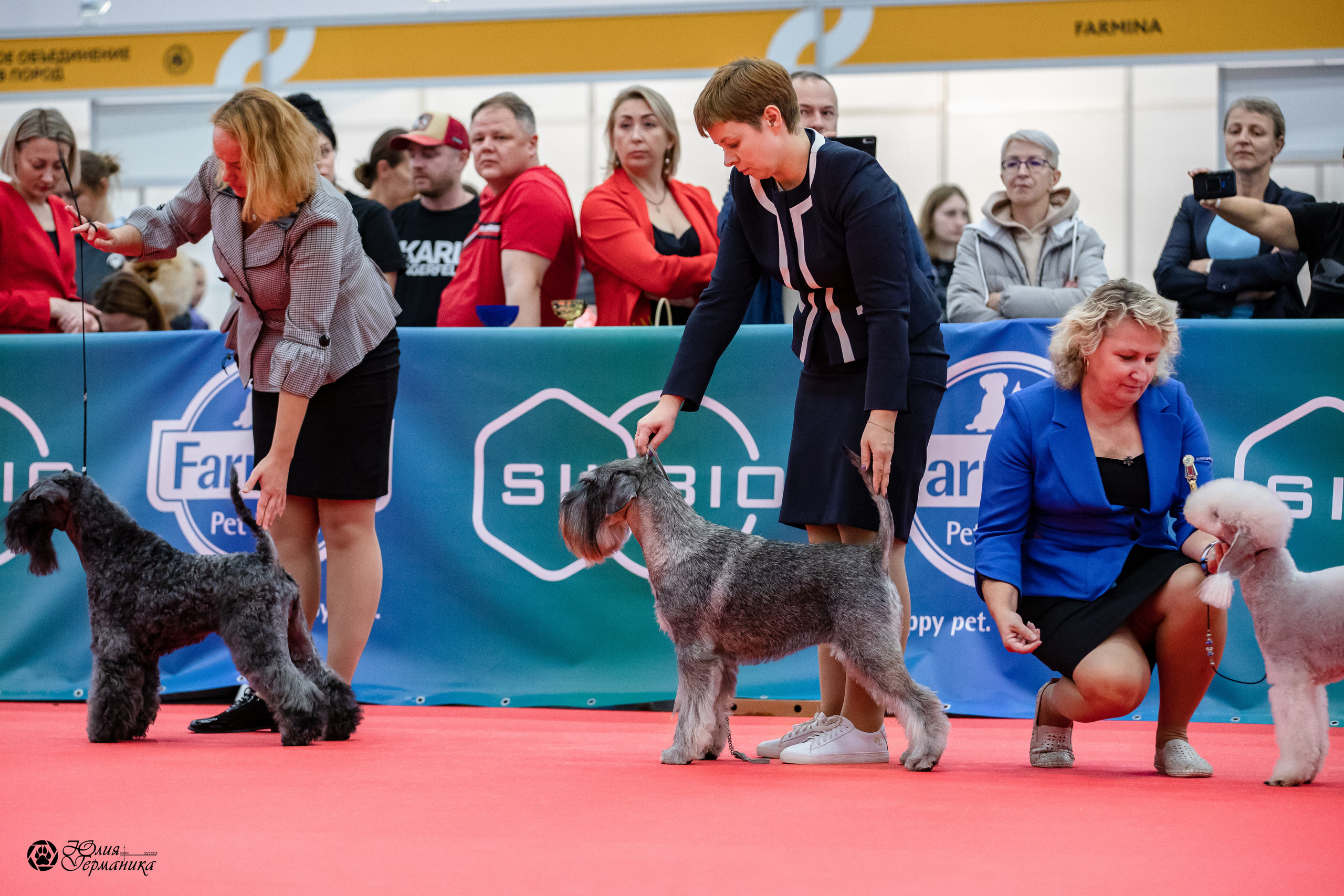 Нижний Новгород 15-16.10.2022. Фотограф-анималист Юлия Германика